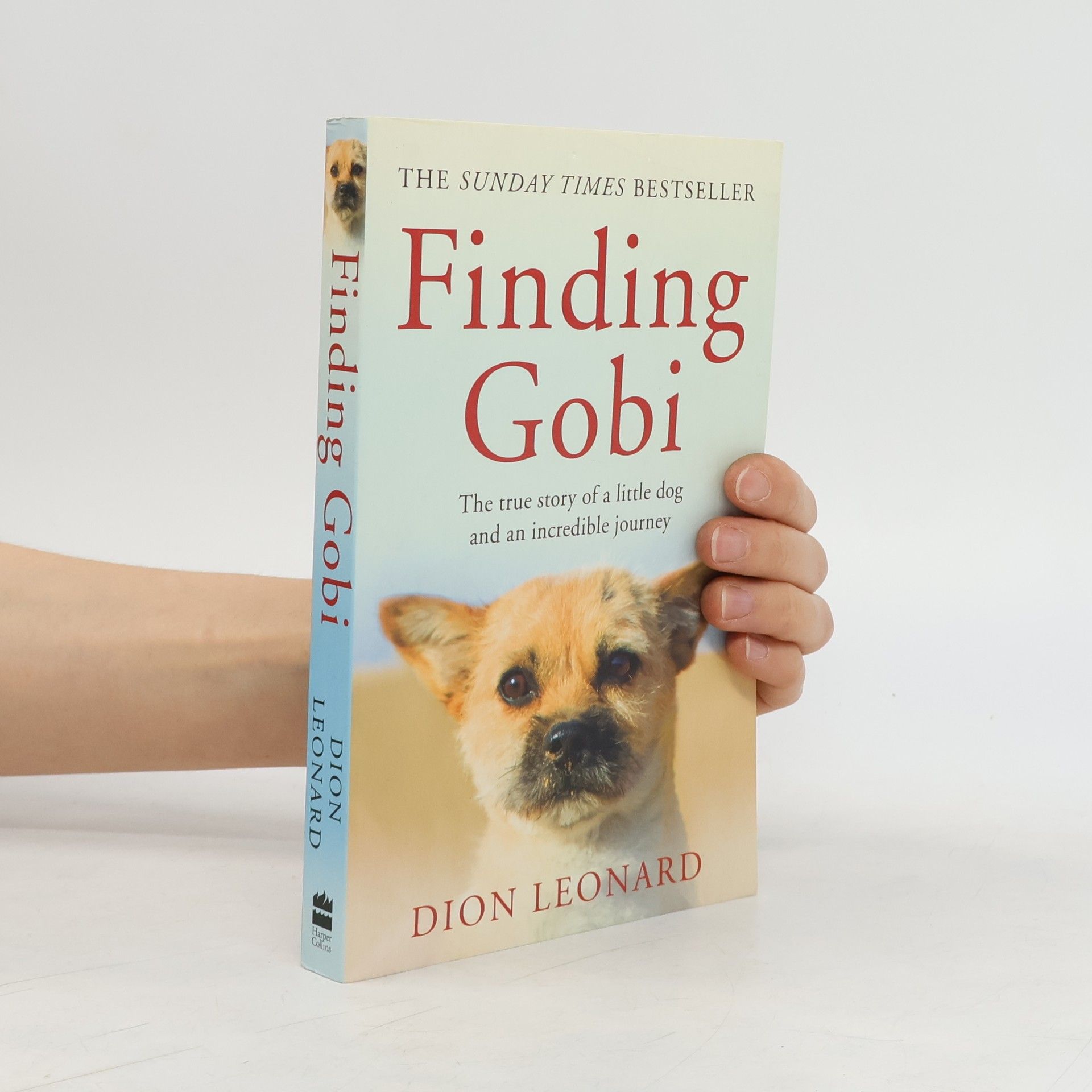 Dion Leonard Finding Gobi