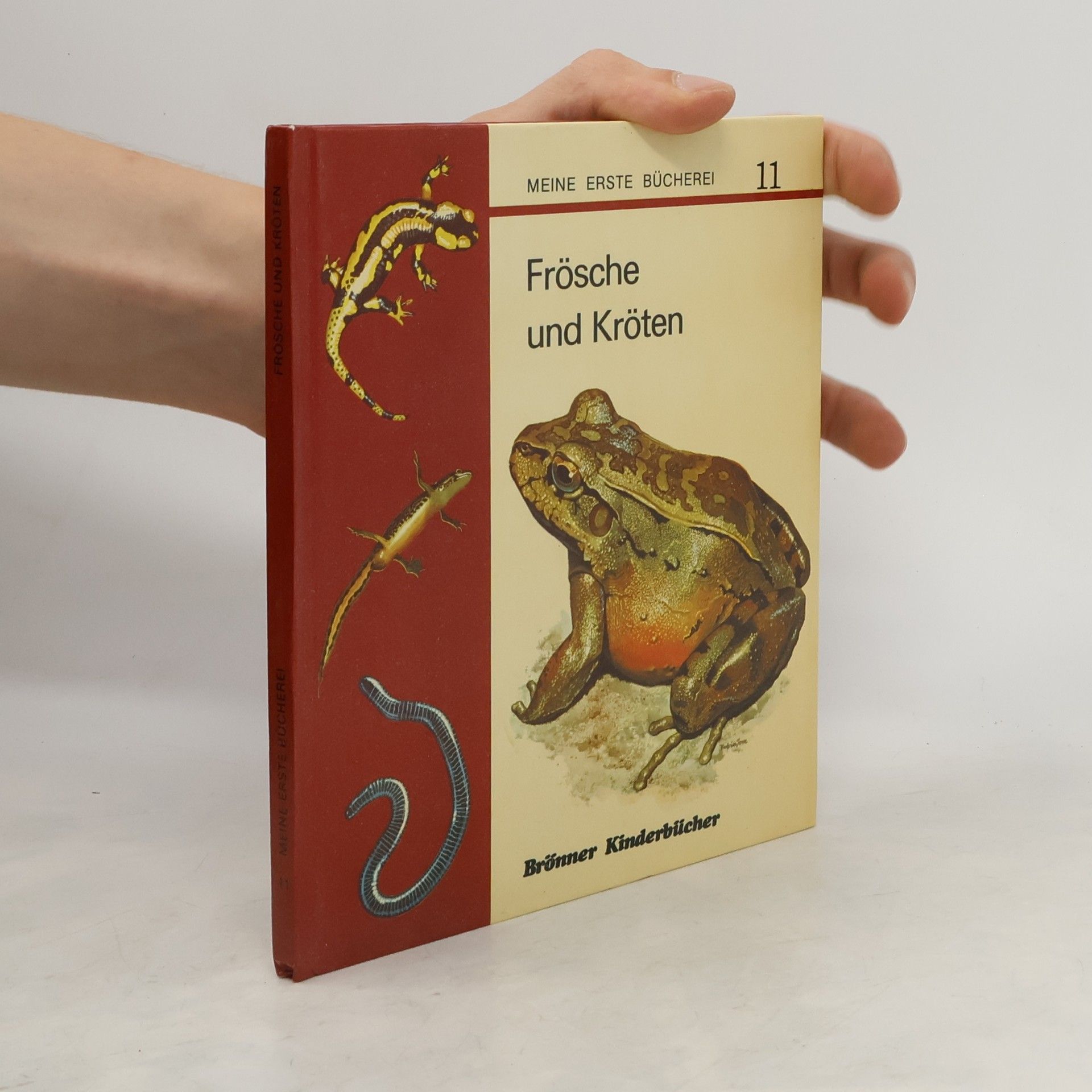 Autorenkollektiv Frösche und Kröten