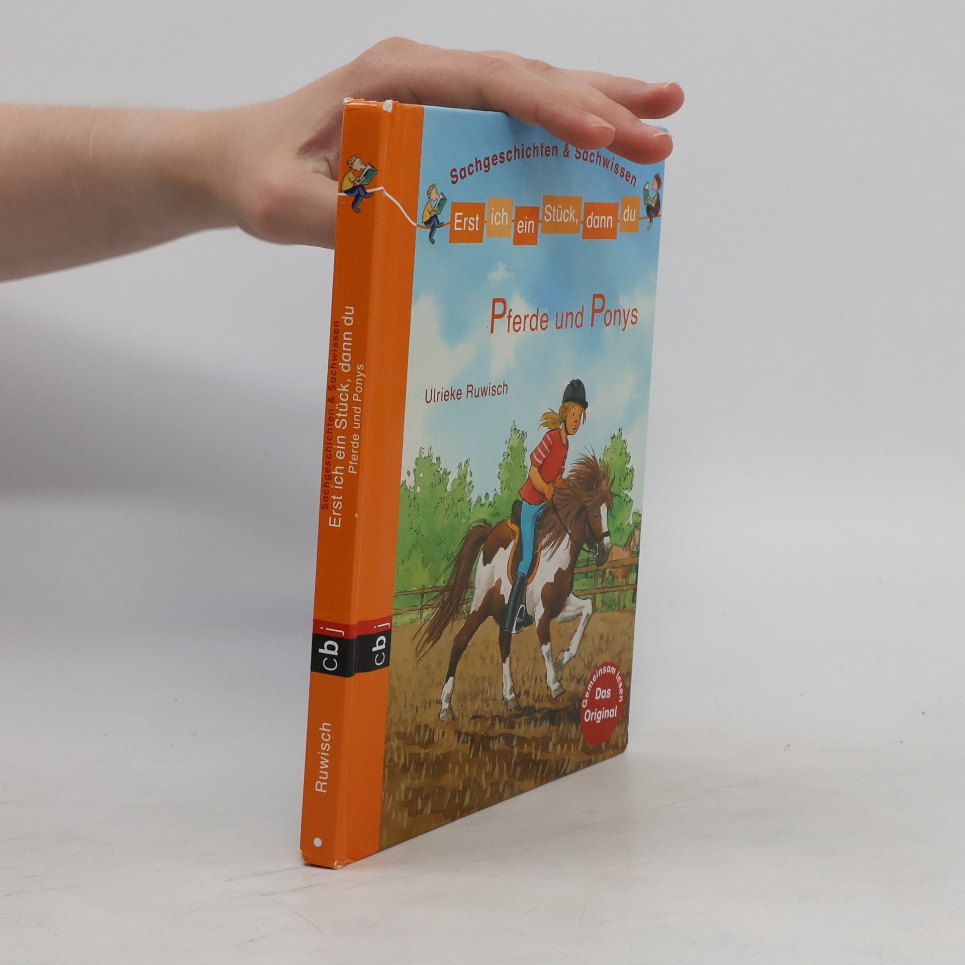 Ulrieke Ruwisch Pferde und Ponys