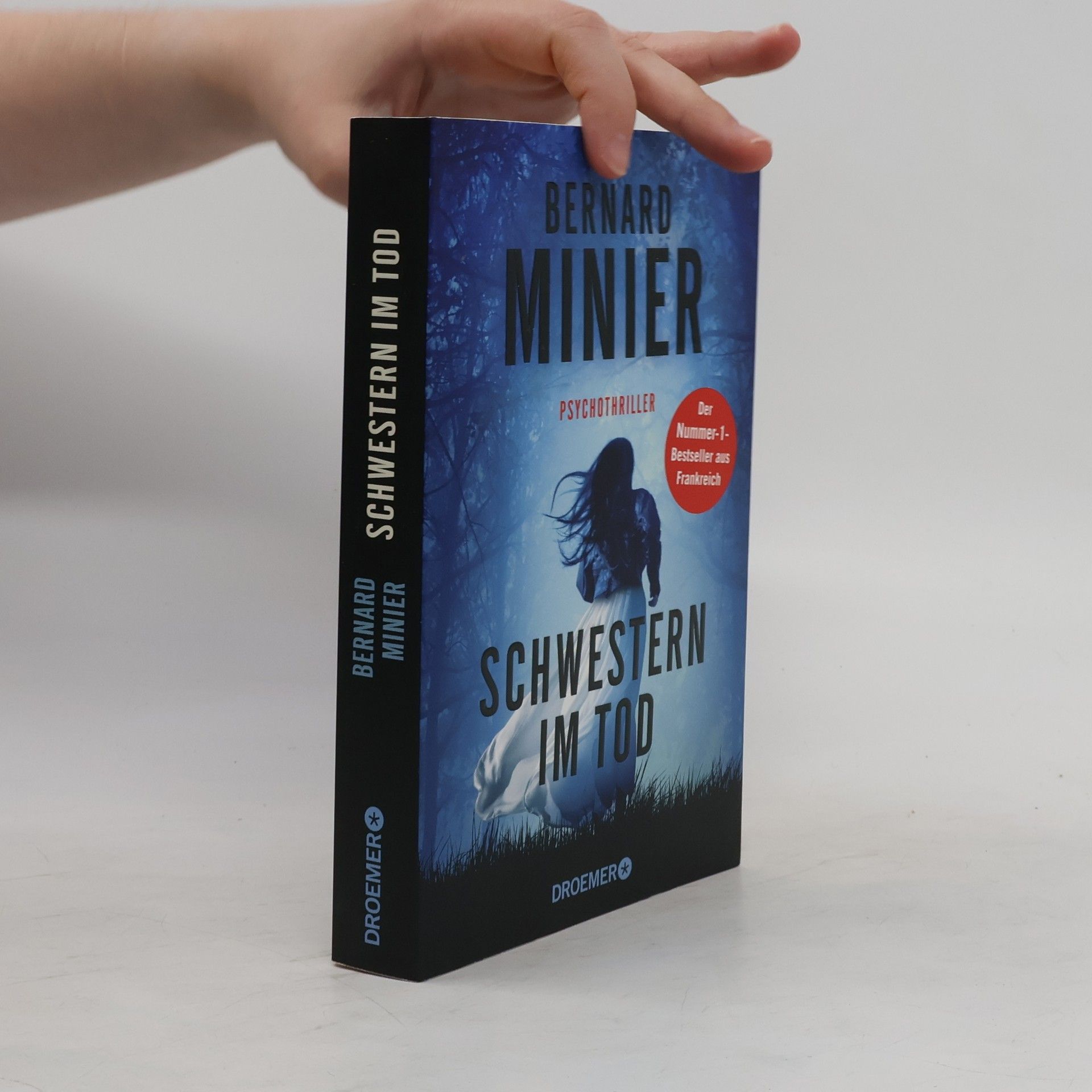 Bernard Minier Schwestern im Tod