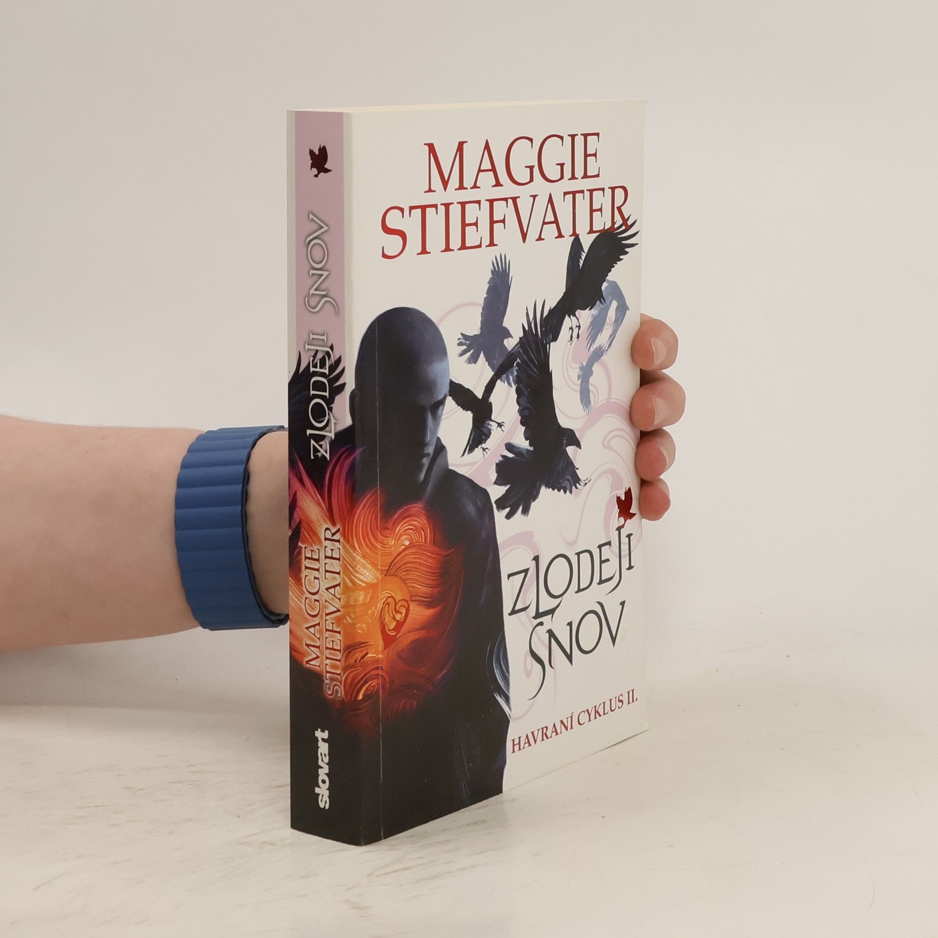 Maggie Stiefvater Zlodeji snov