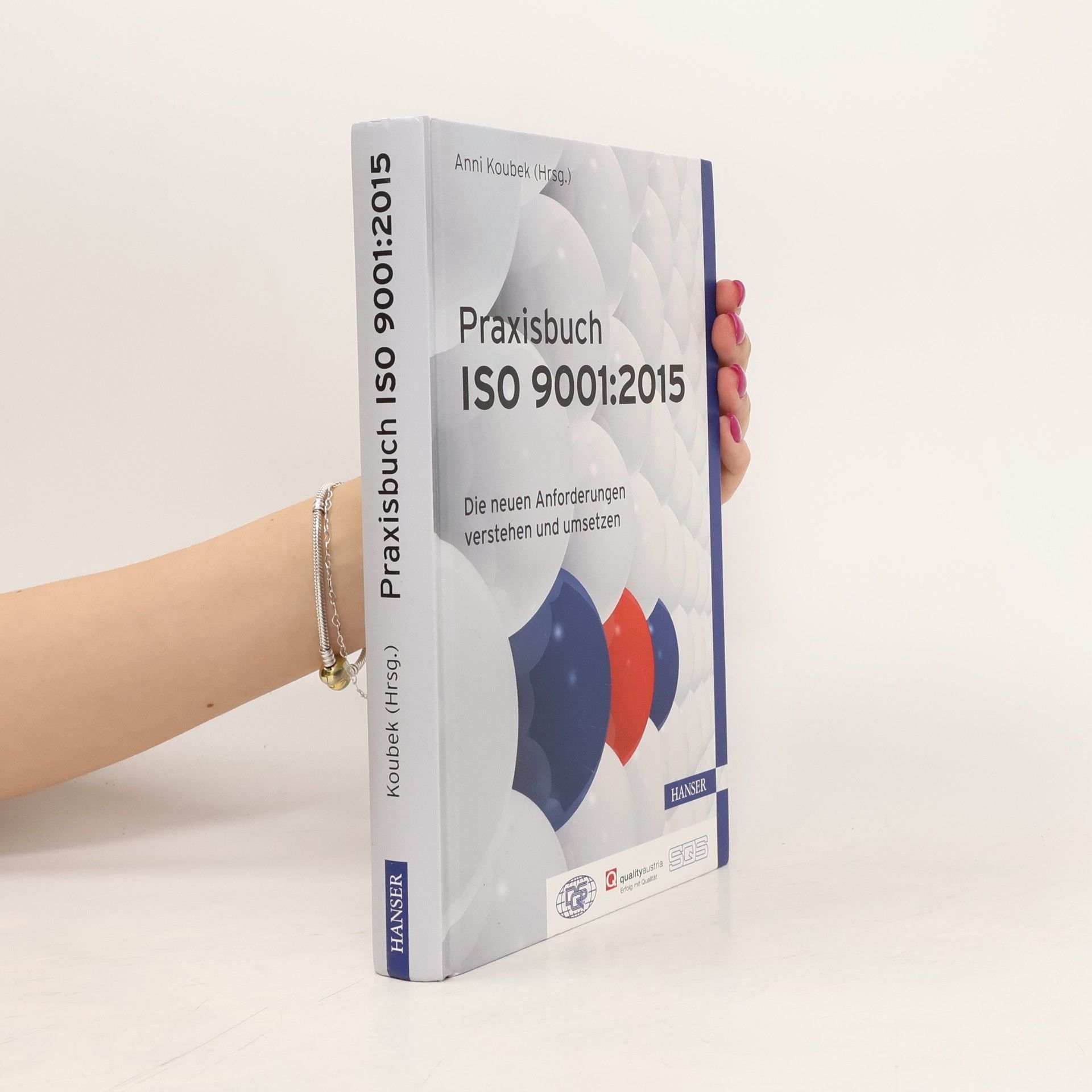 Anni Koubek Praxisbuch ISO 9001:2015