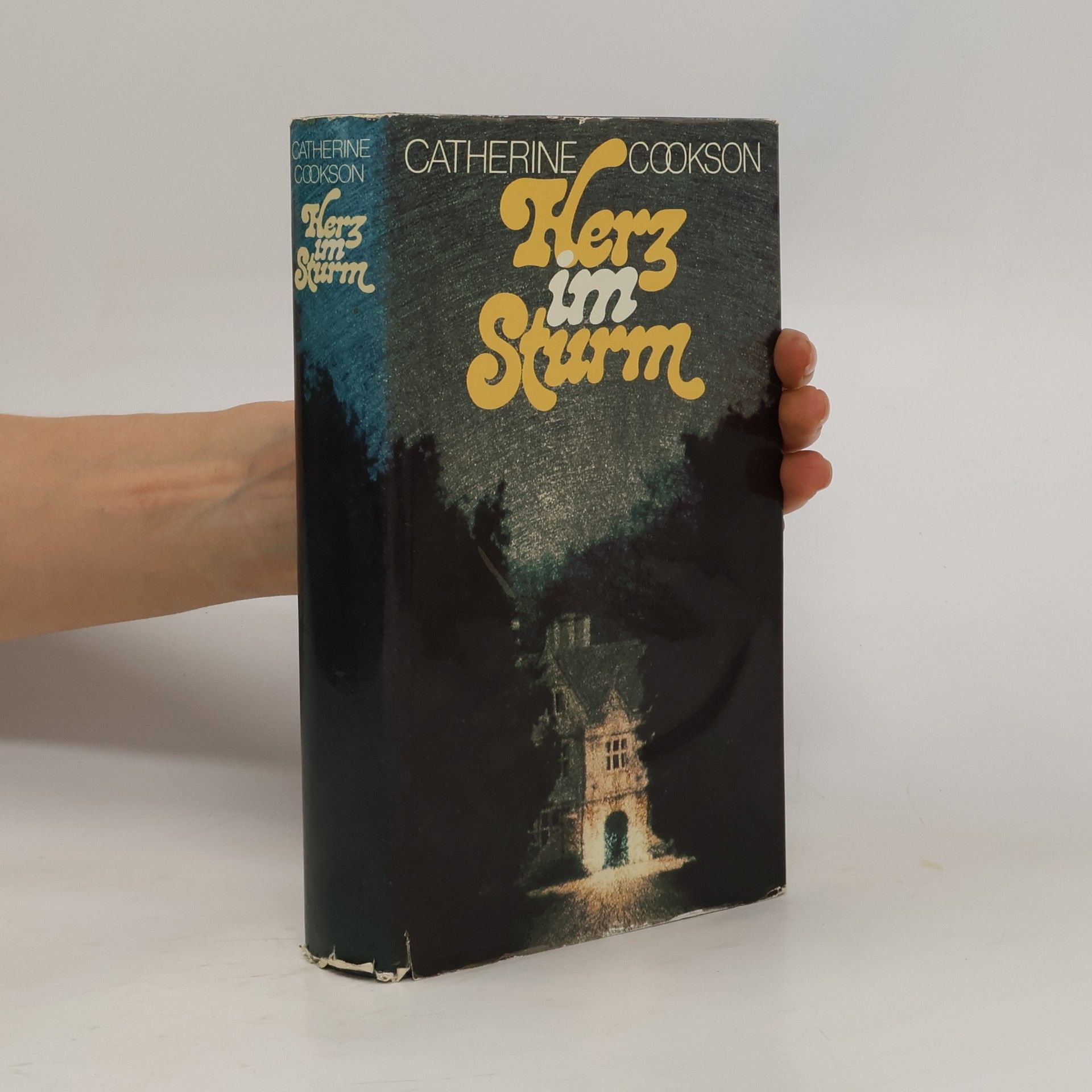 Catherine Cookson Derz im Sturm