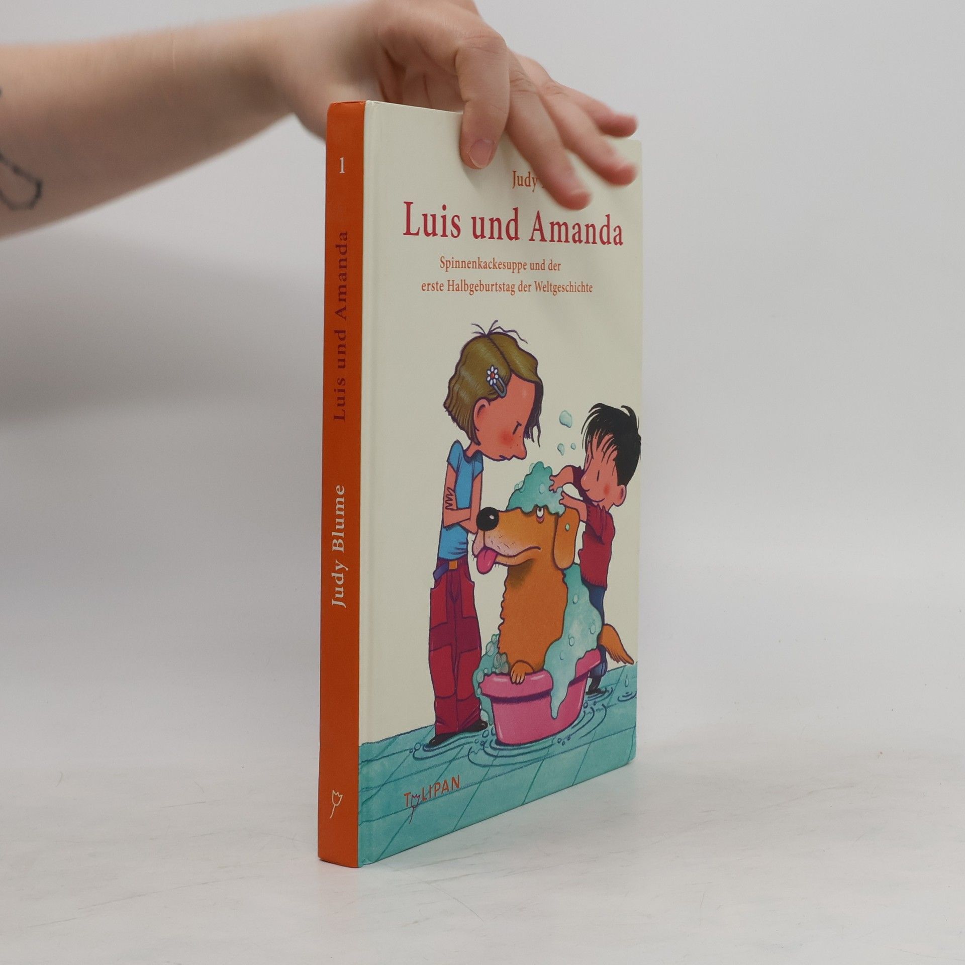 Judy Blume Luis und Amanda 1
