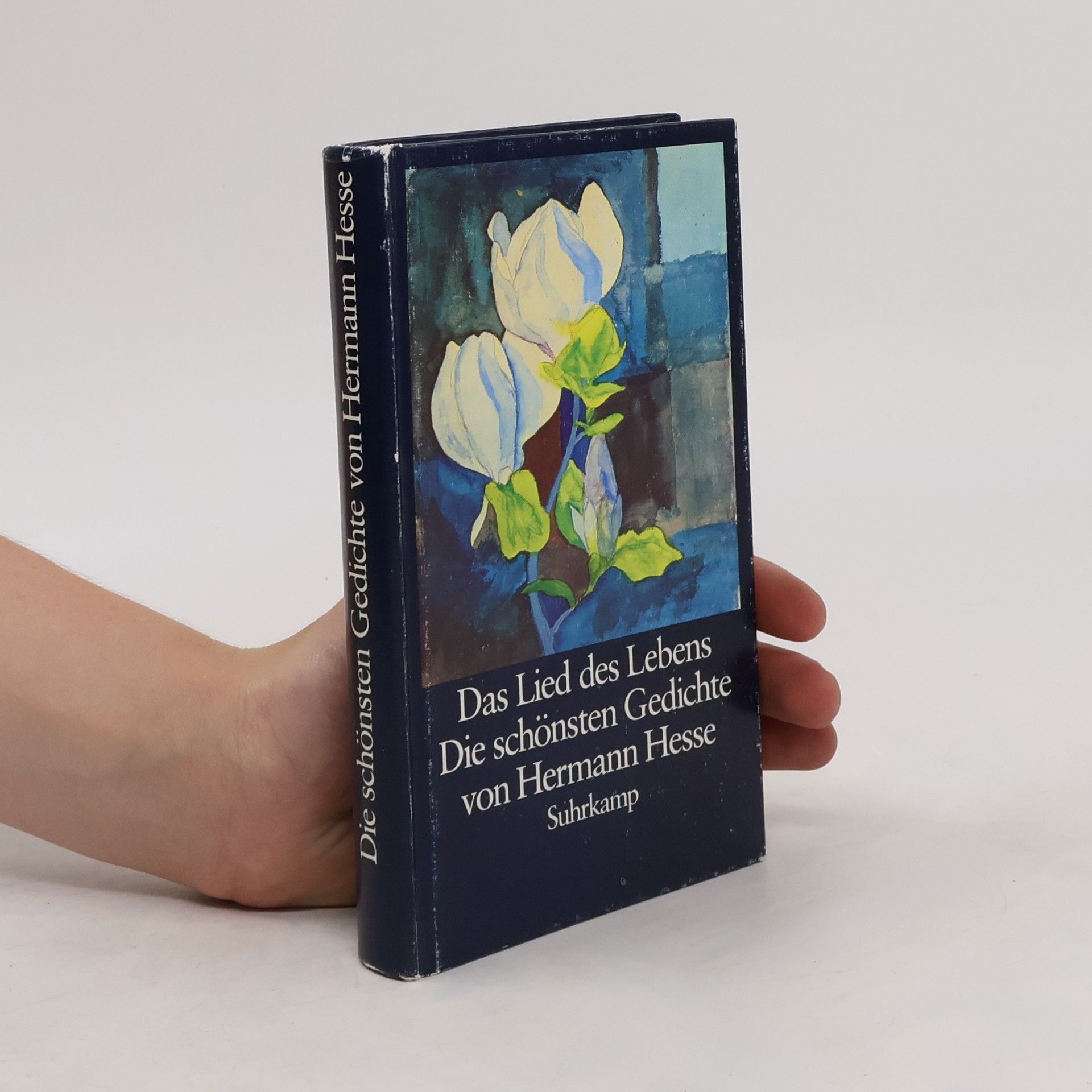 Hermann Hesse Das Lied des Lebens. Die schönsten Gedichte von Hermann Hesse
