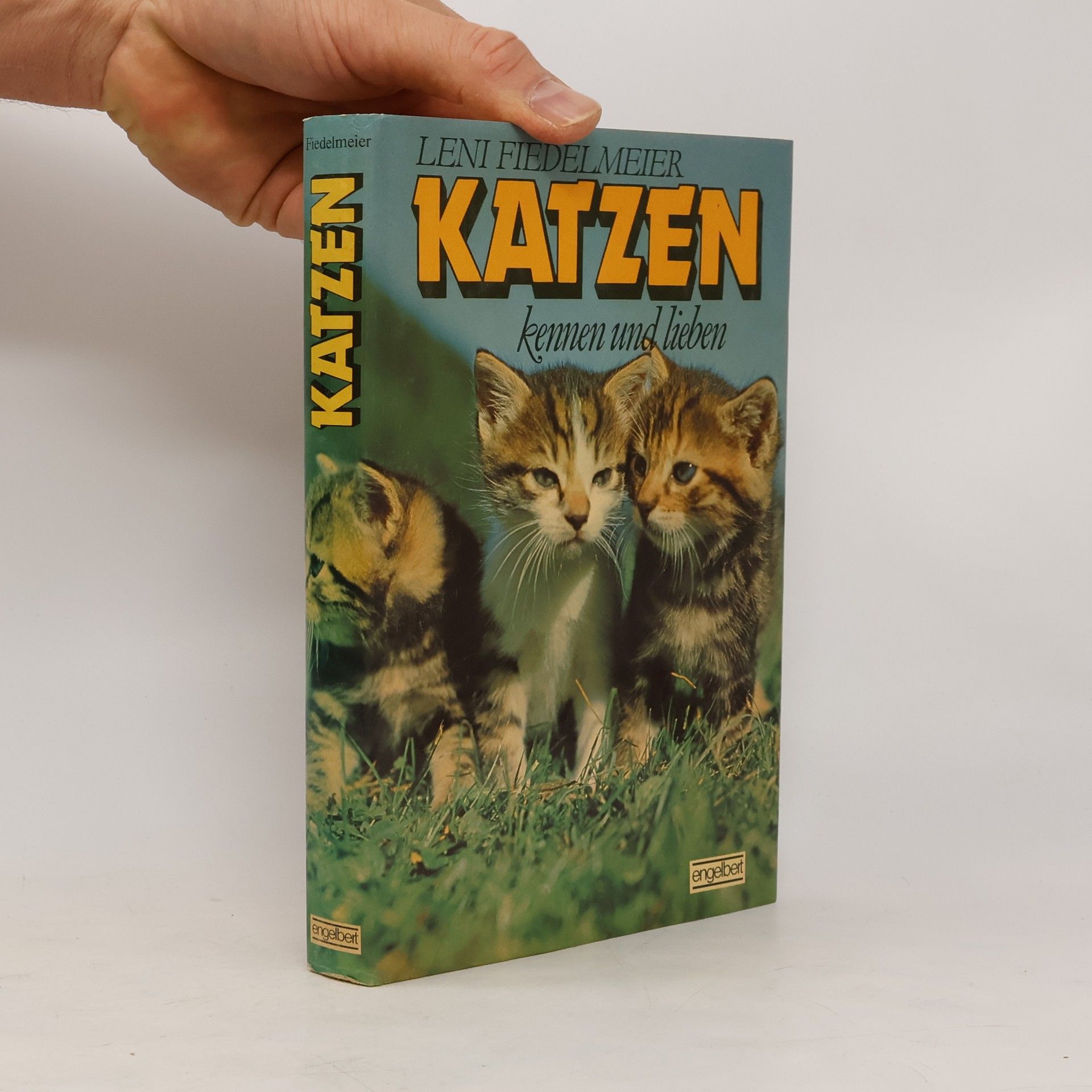 Leni Fiedelmeier Katzen kennen und lieben
