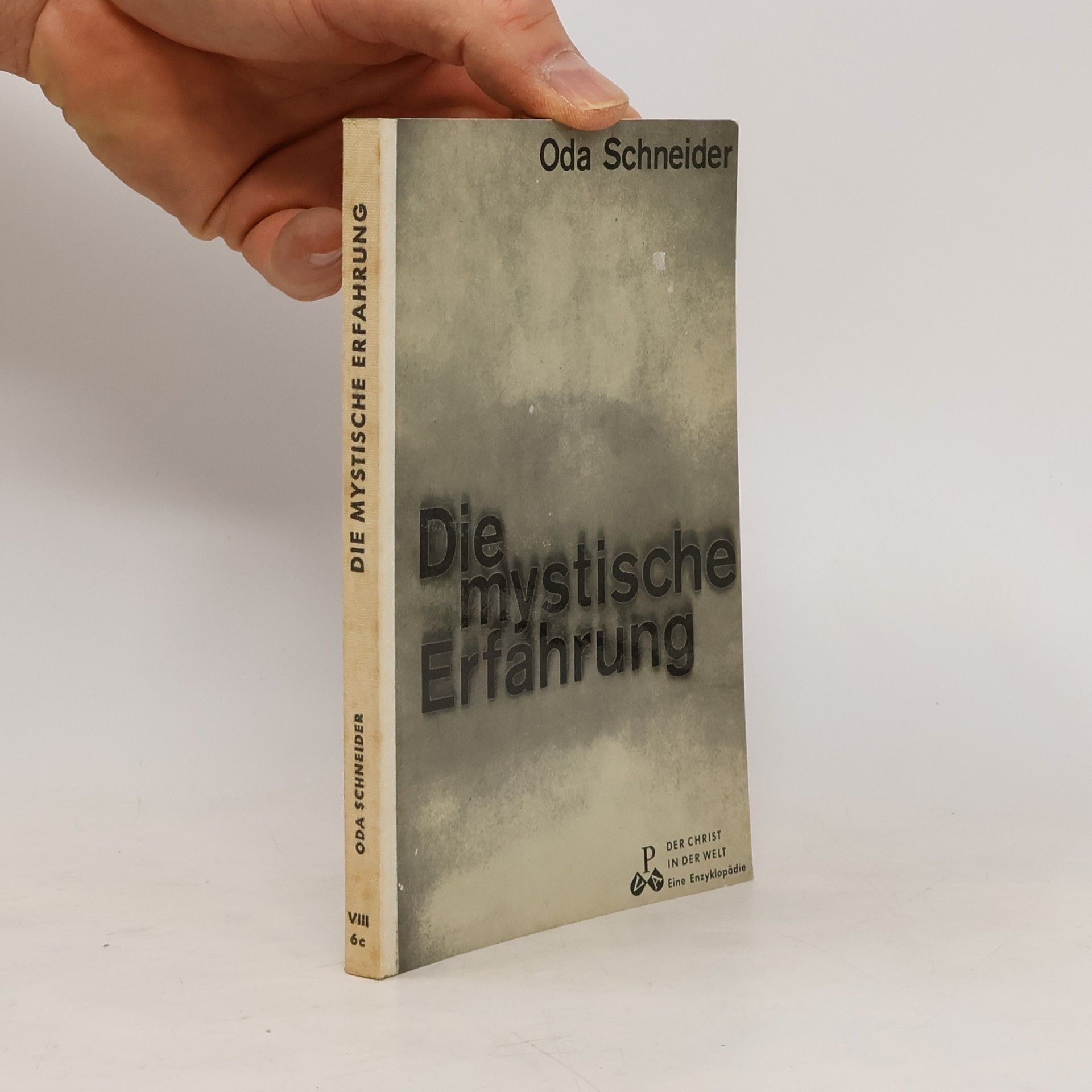Oda Schneider Die mystische Erfahrung