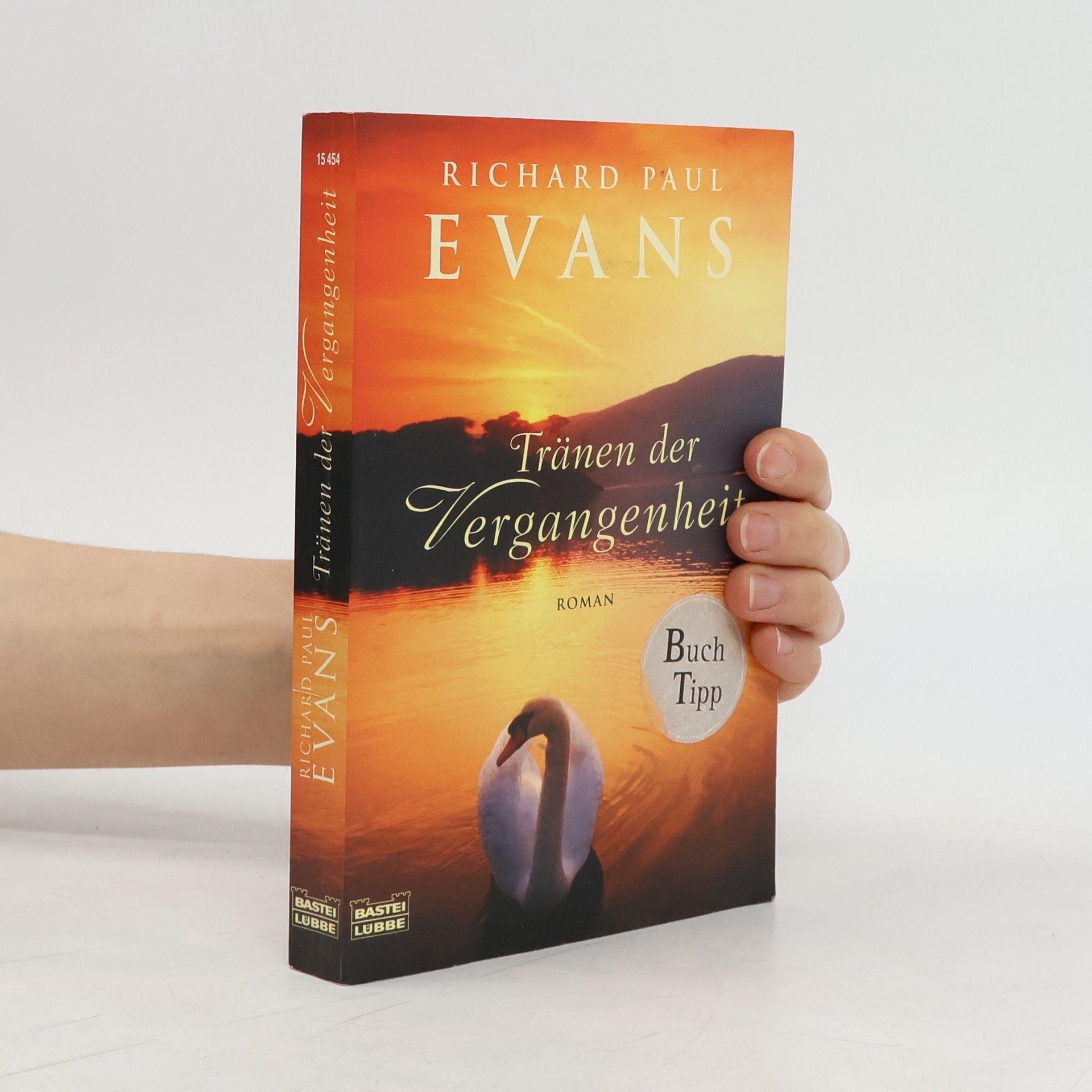 Richard Paul Evans Tränen der Vergangenheit