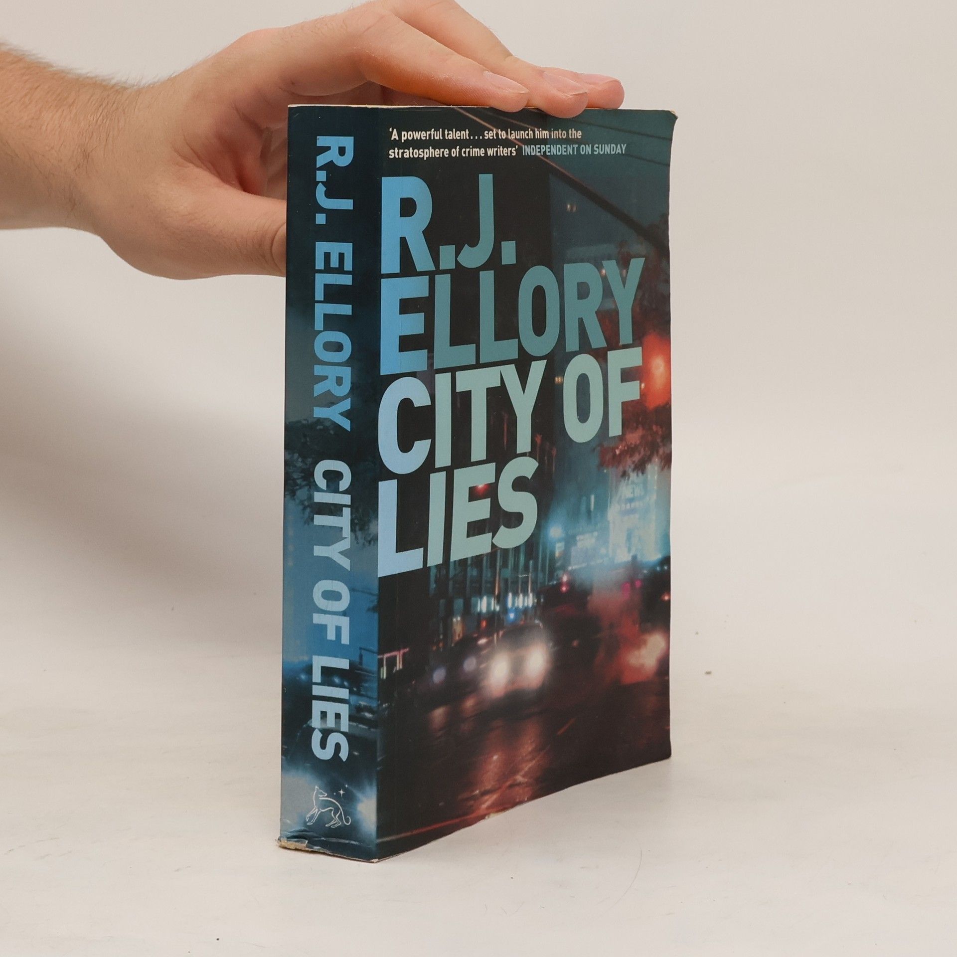 R-J Ellory City Of Lies
