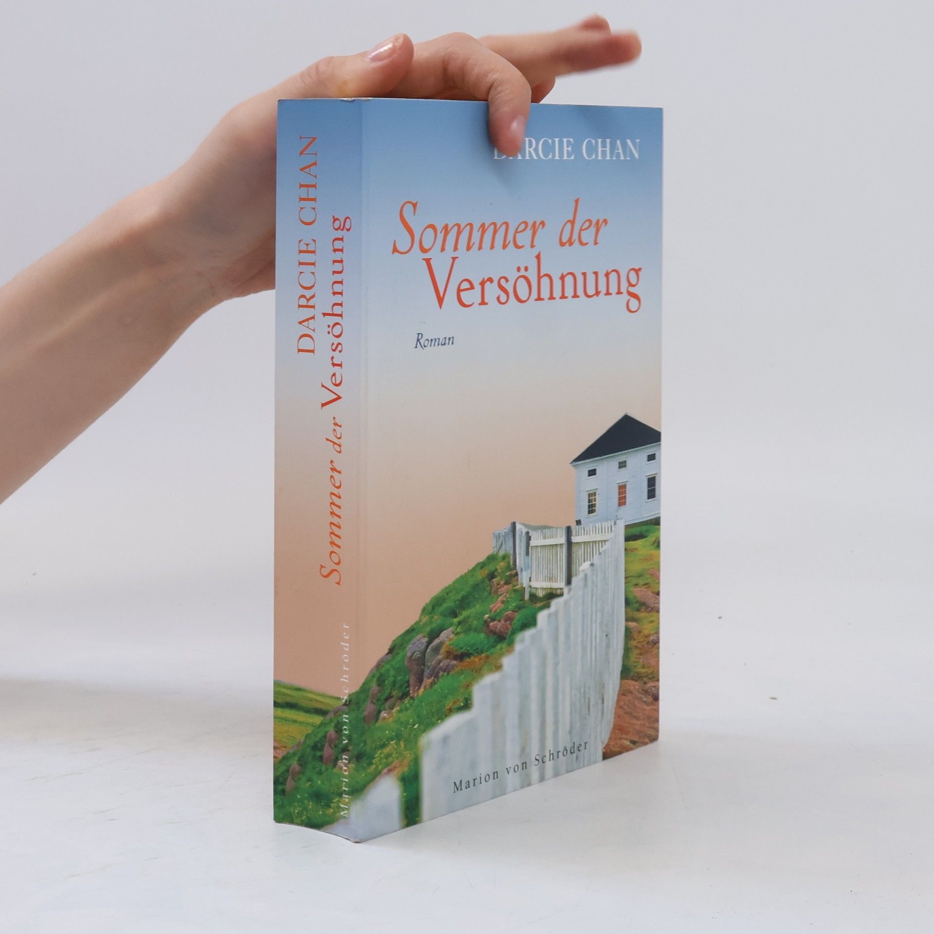 Darcie Chan Sommer der Versöhnung