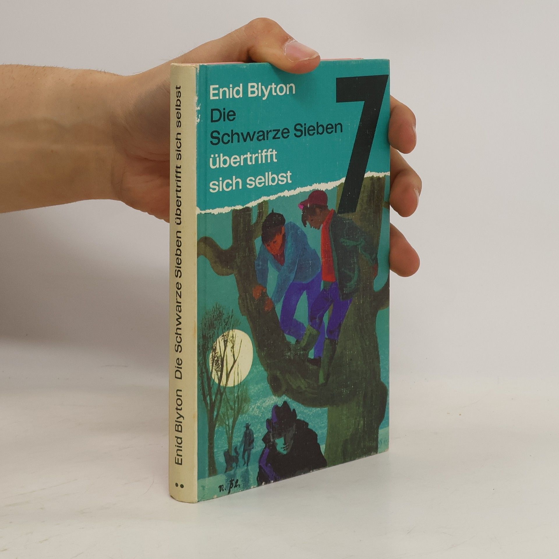 Enid Blyton Die Schwarze Sieben übertrifft sich selbst