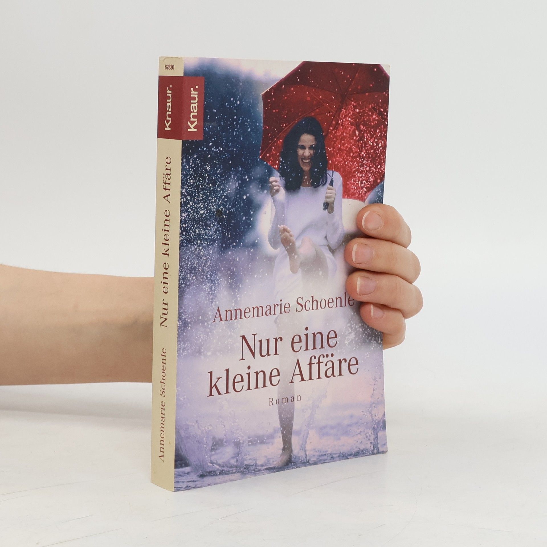 Annemarie Schoenle Nur eine kleine Affäre