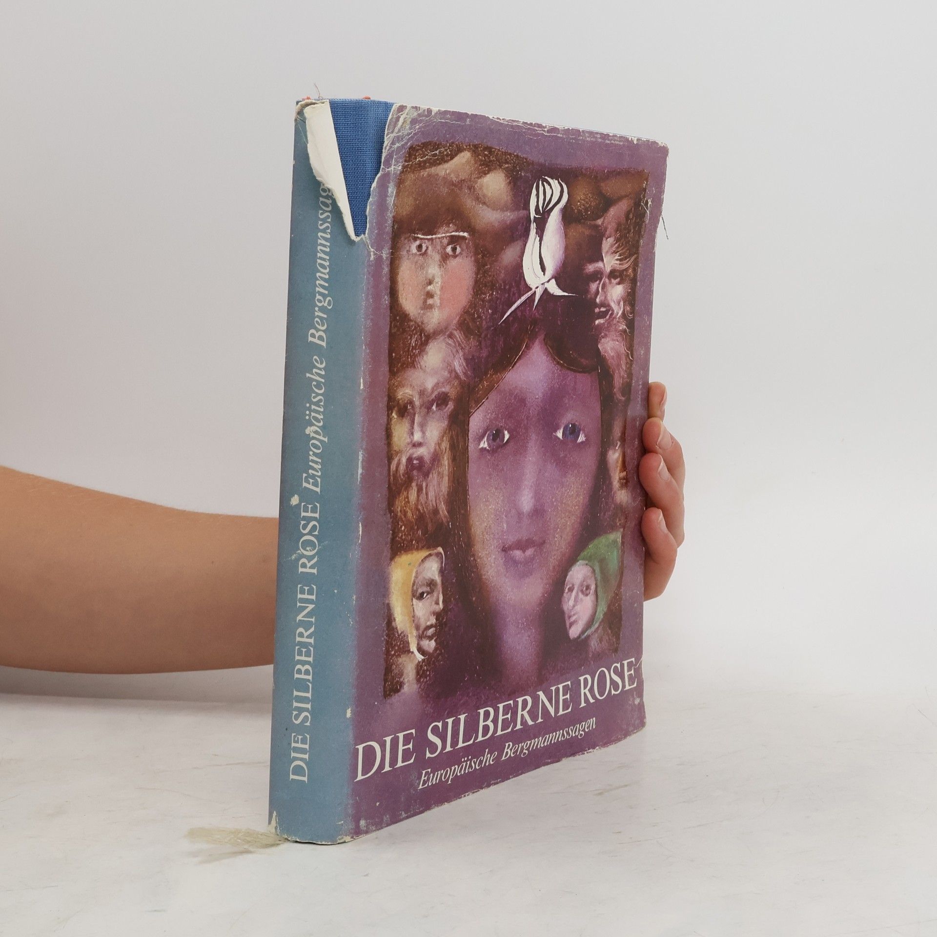 Autorenkollektiv Die silberne Rose. Europäische Bergmannssagen