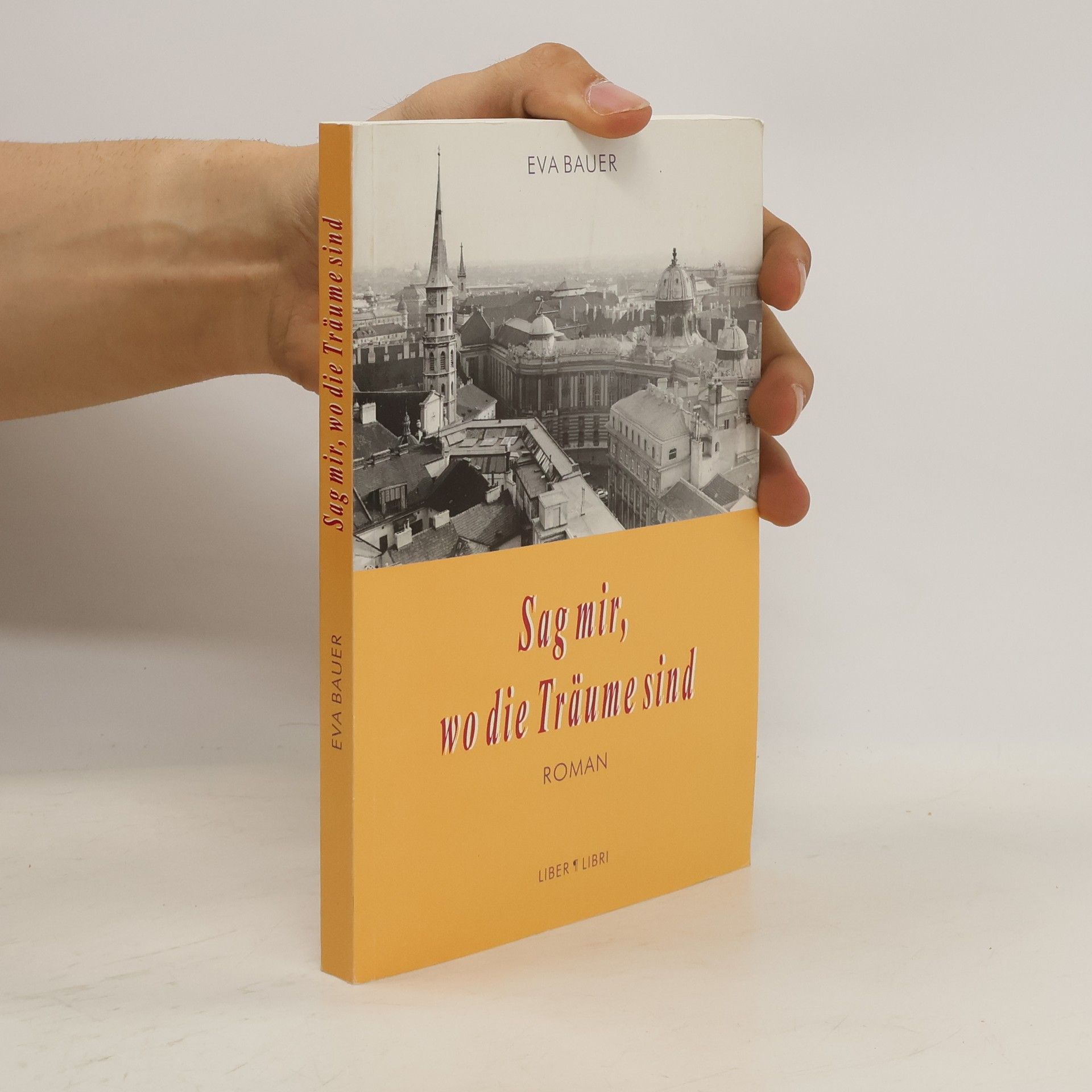 Sag mir, wo die Träume sind