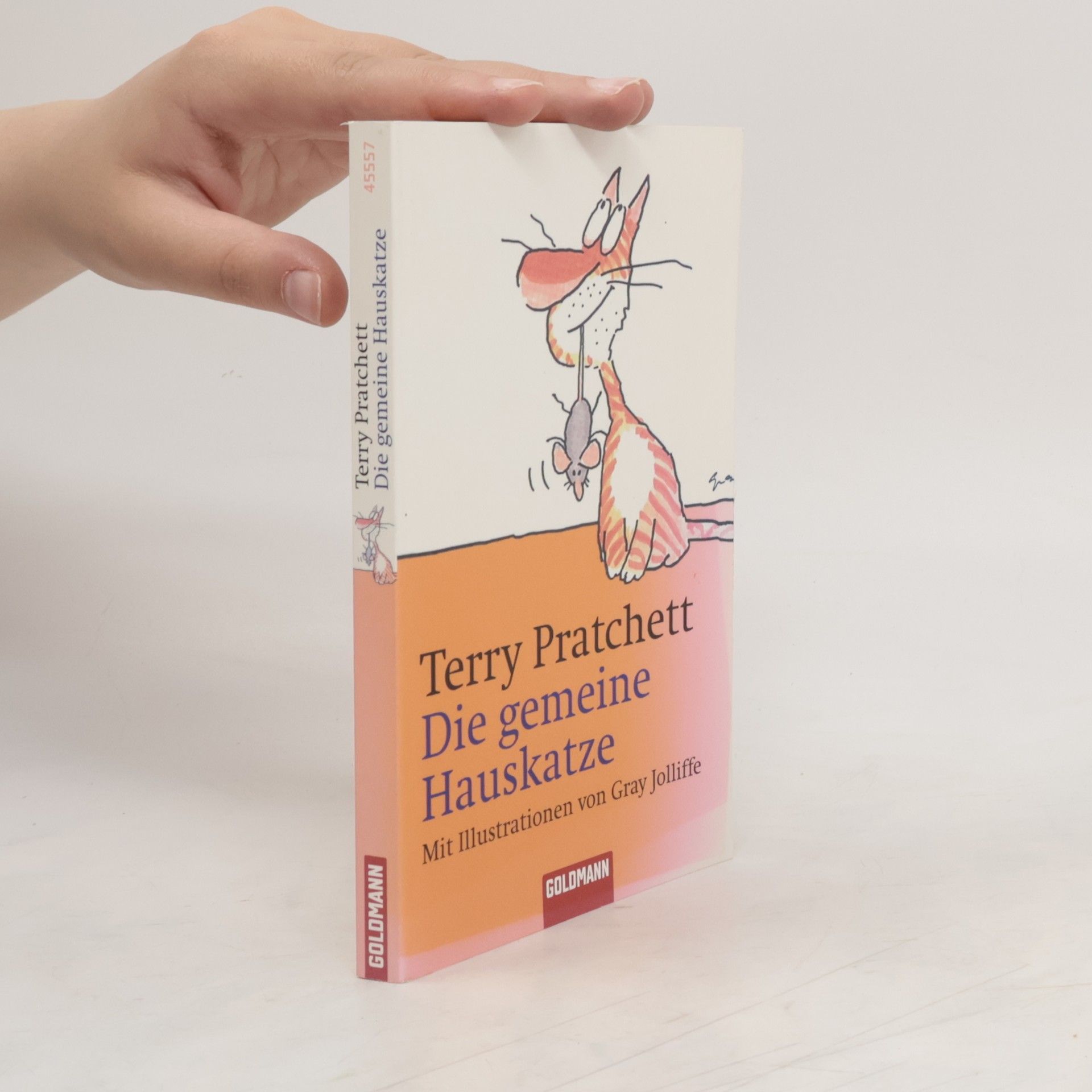 Terry Pratchett Die gemeine Hauskatze