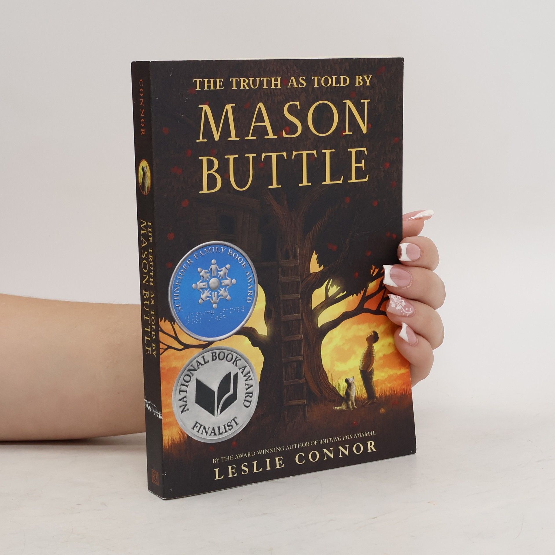 Leslie Connor The Truth as Told by Mason Buttle