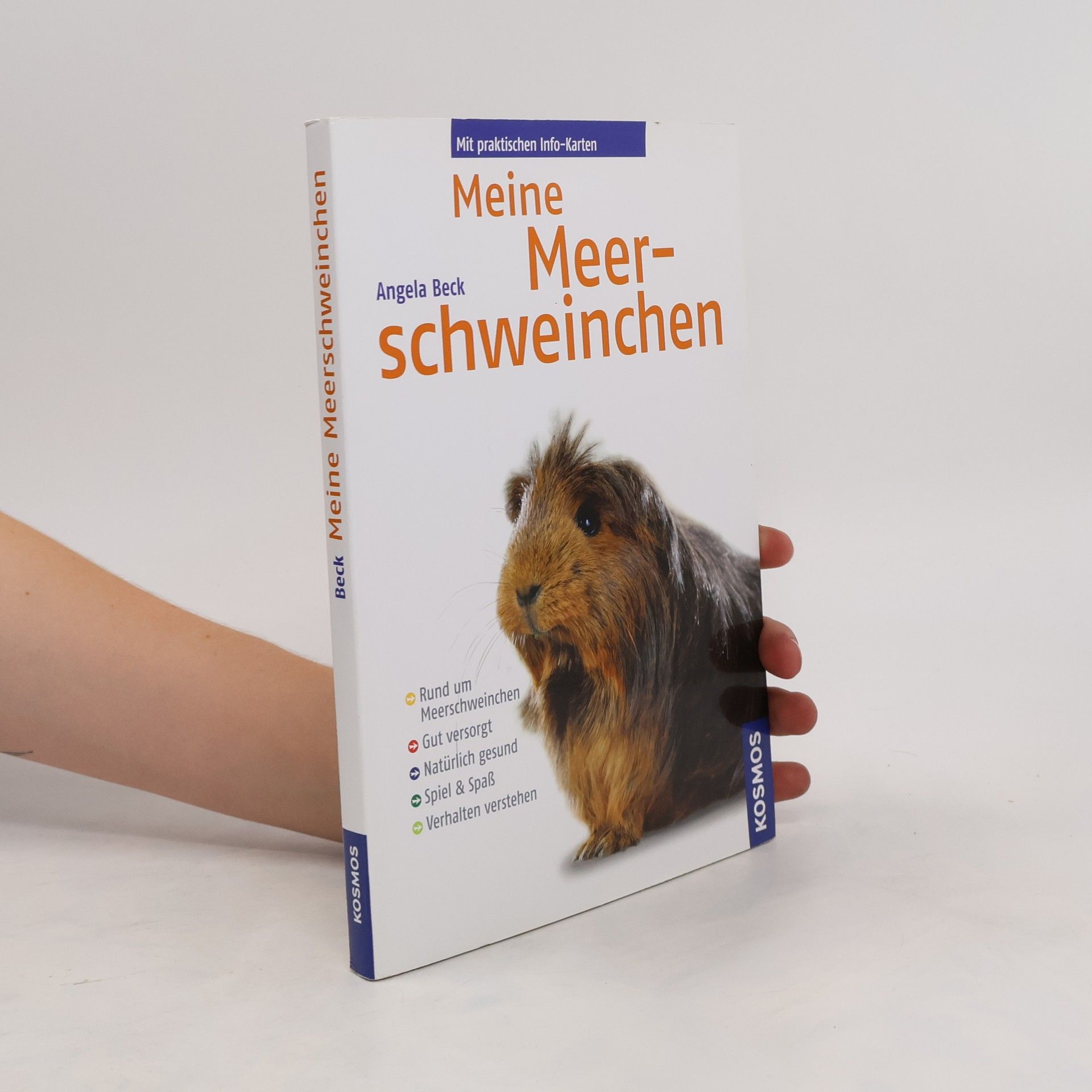 Angela Beck Meine Meerschweinchen