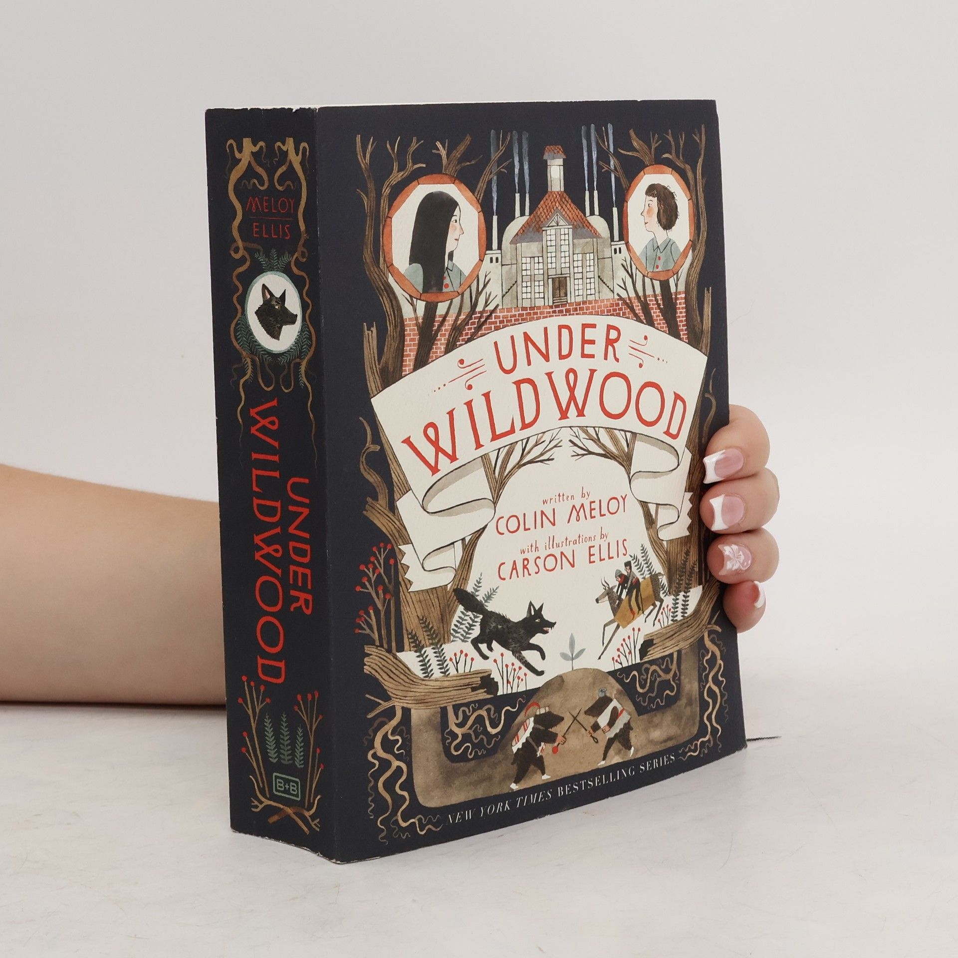Colin Meloy Under Wildwood