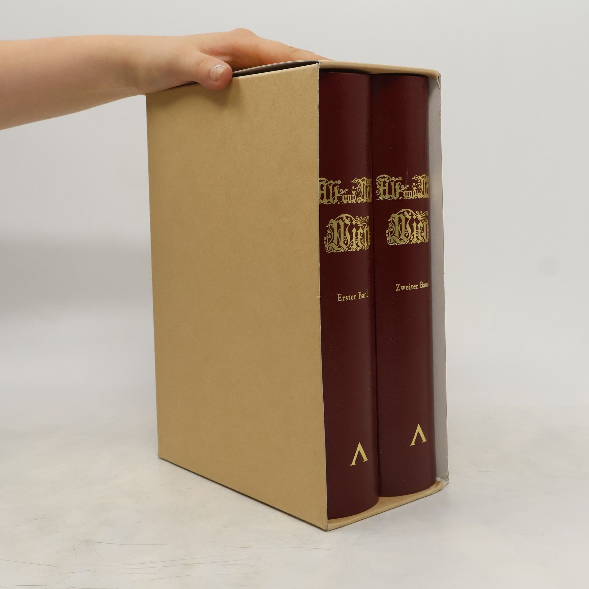Karl Eduard Schimmer Alt und Neu Wien 1-2