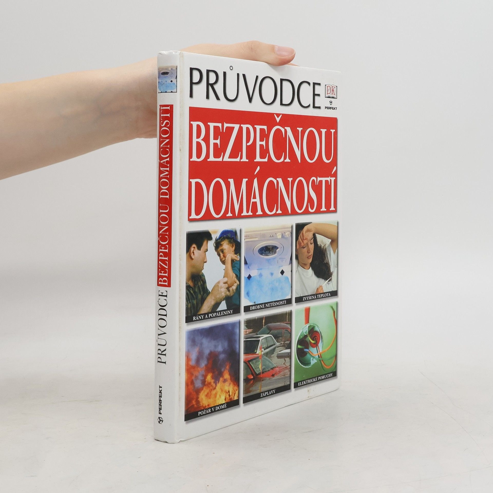 David Ashby Průvodce bezpečnou domácností