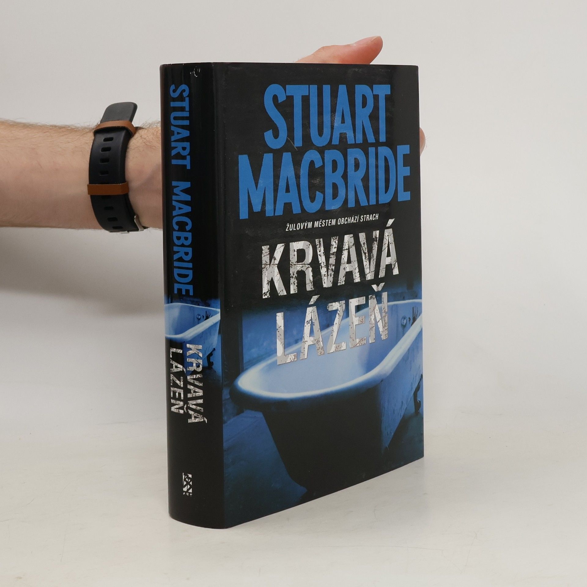 Stuart Macbride Krvavá lázeň