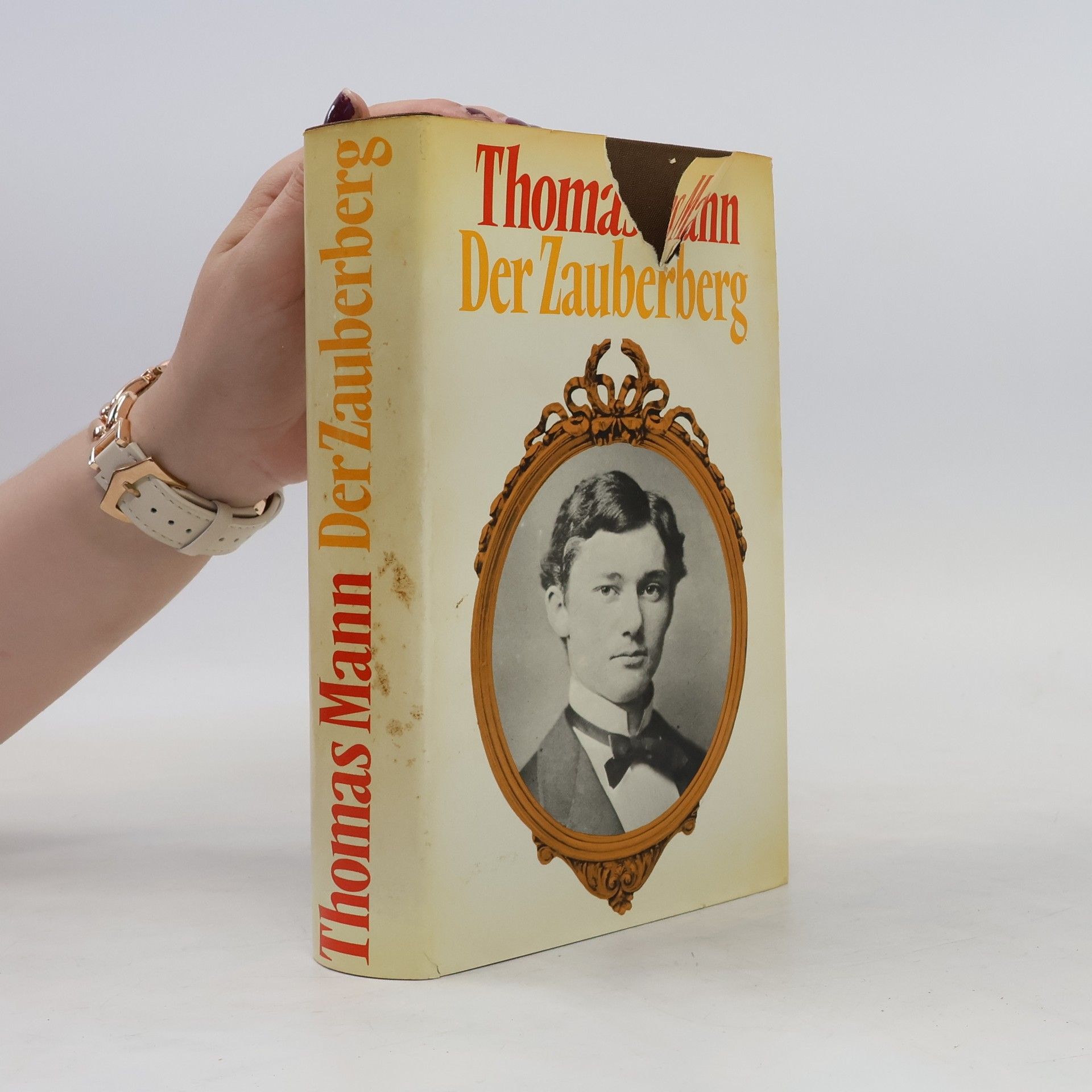Thomas Mann Der Zauberberg