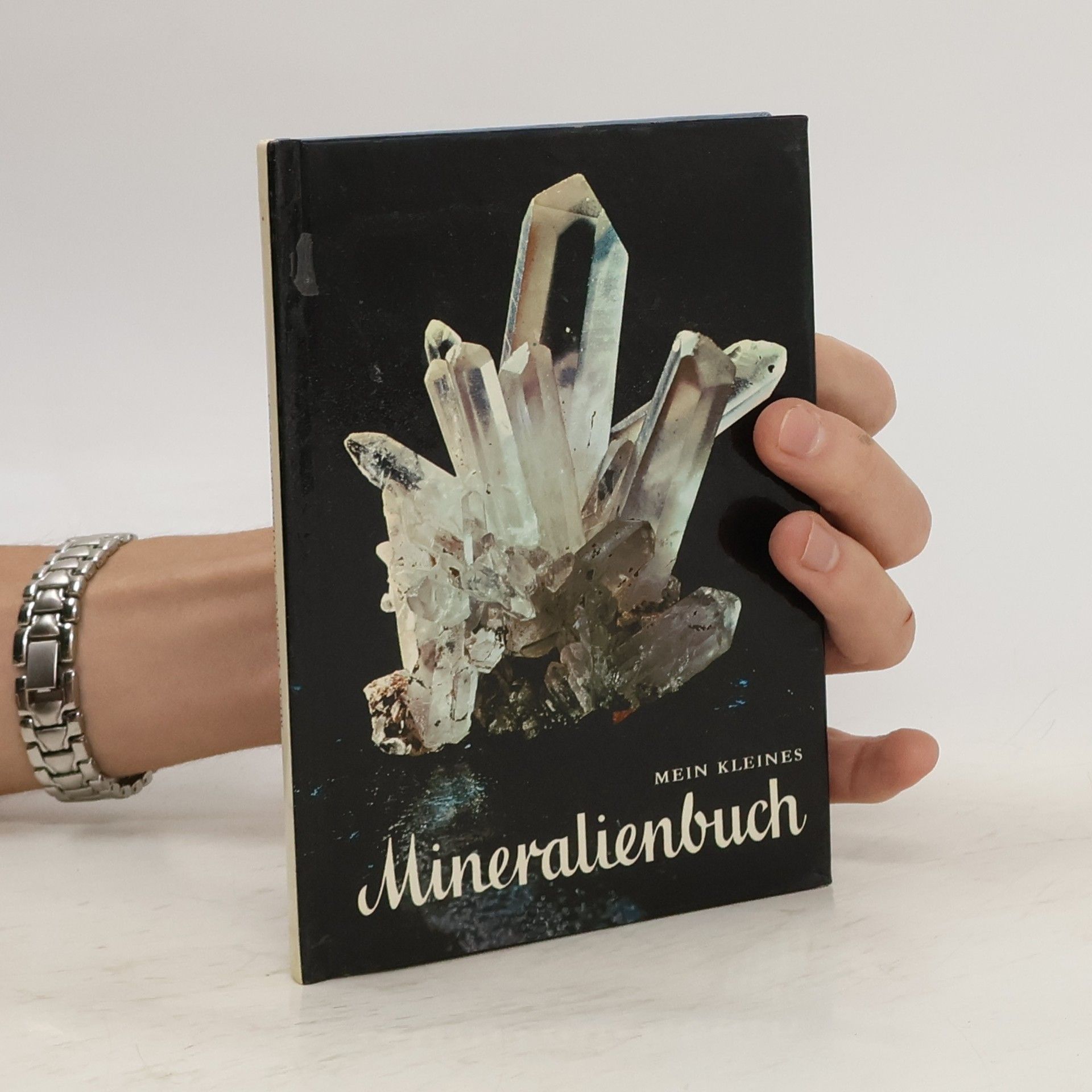 Autorenkollektiv Mein kleines Mineralienbuch