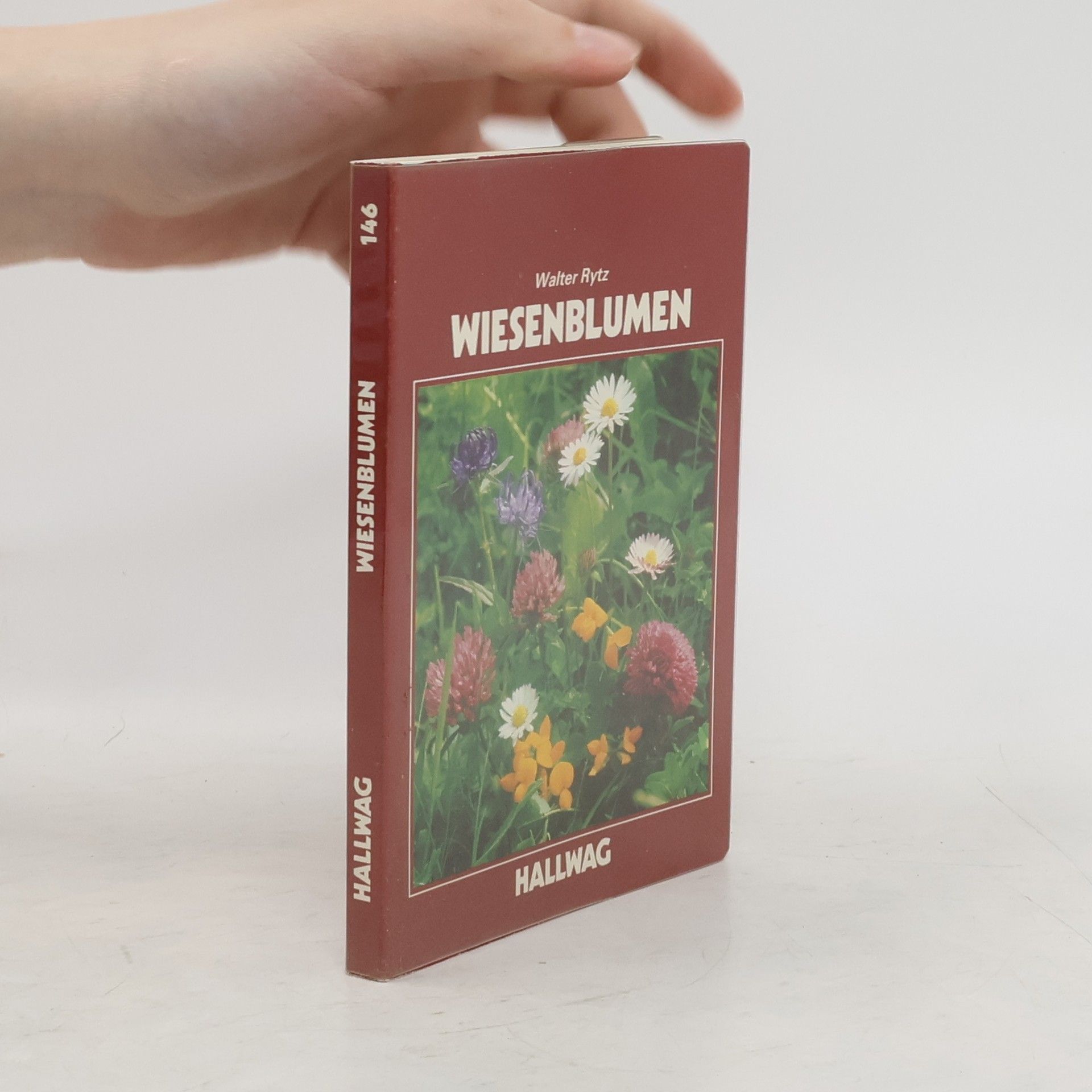 Walther Rytz Wiesenblumen
