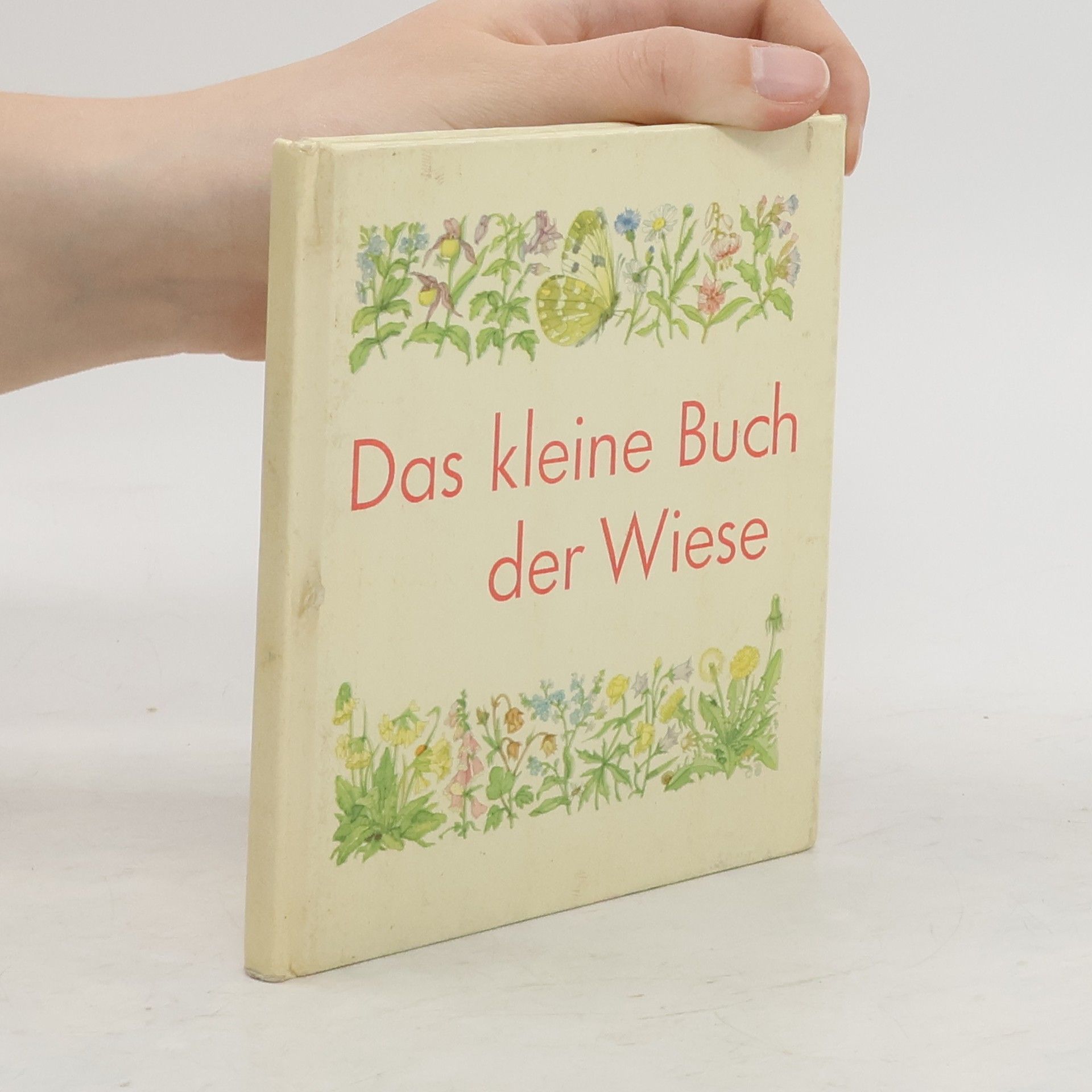 AA.VV. Das kleine Buch der Wiese