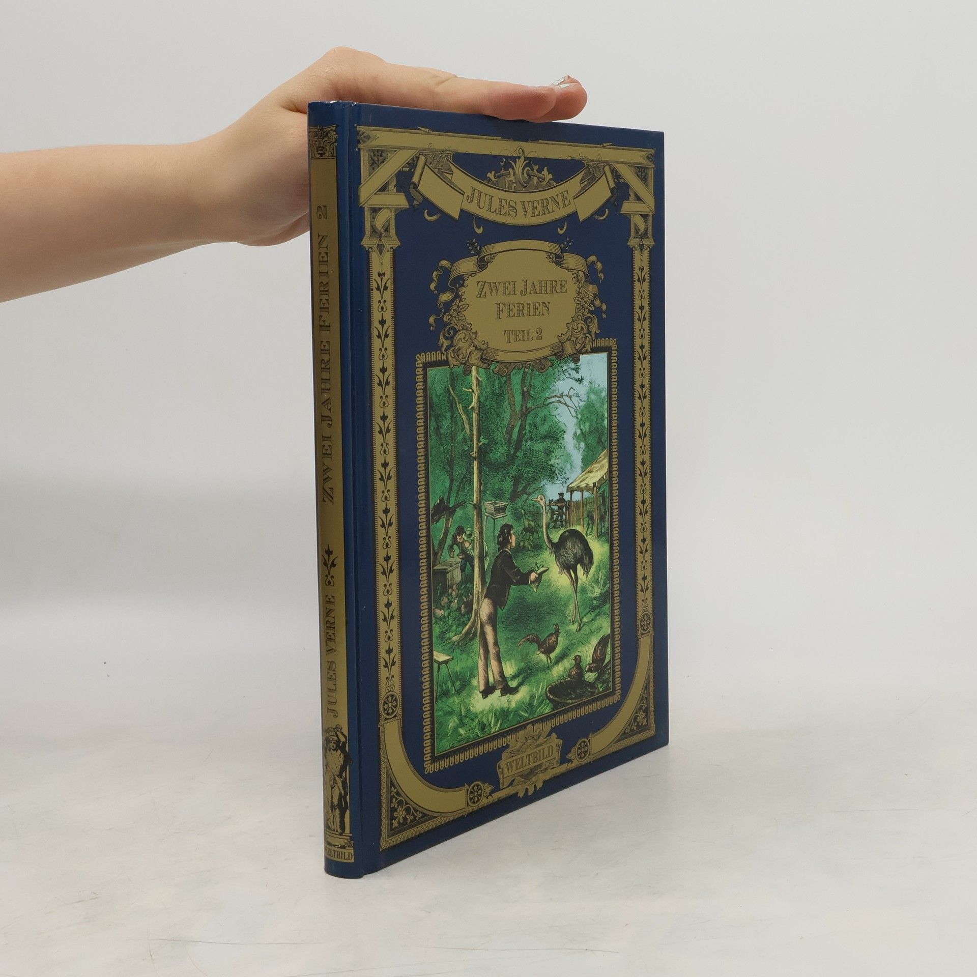 Jules Verne Zwei Jahre Ferien 2