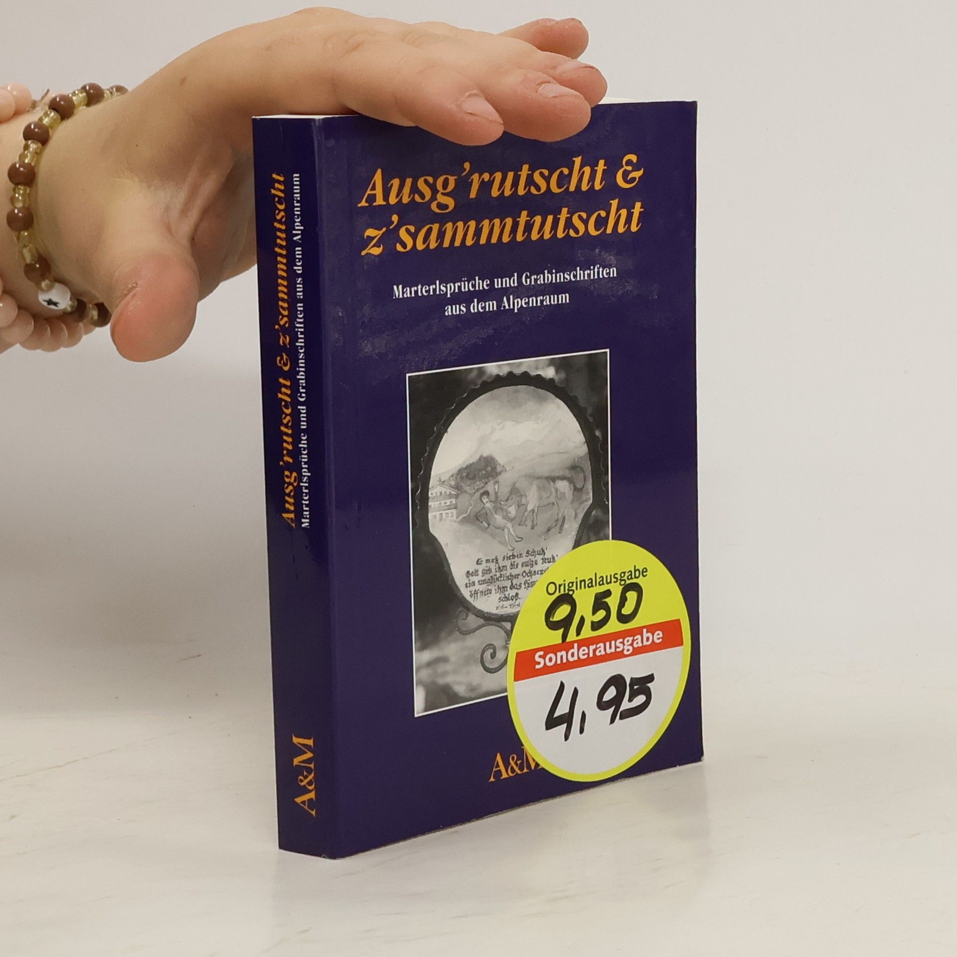 Autorenkollektiv Ausg'rutscht & z'sammtutscht