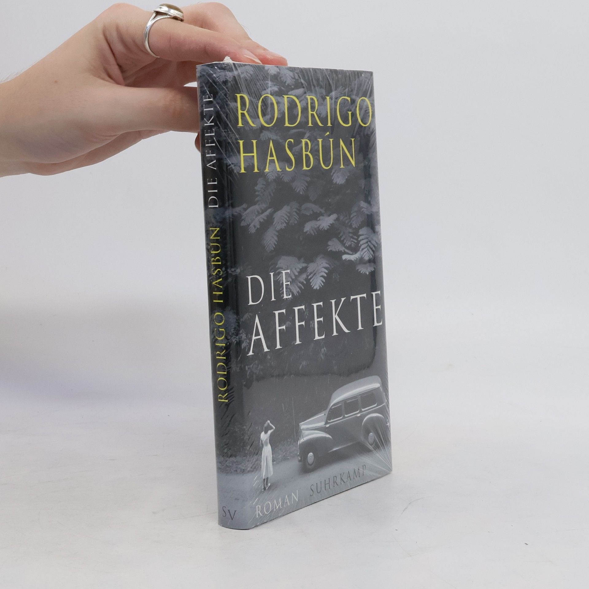 Rodrigo Hasbún Die Affekte