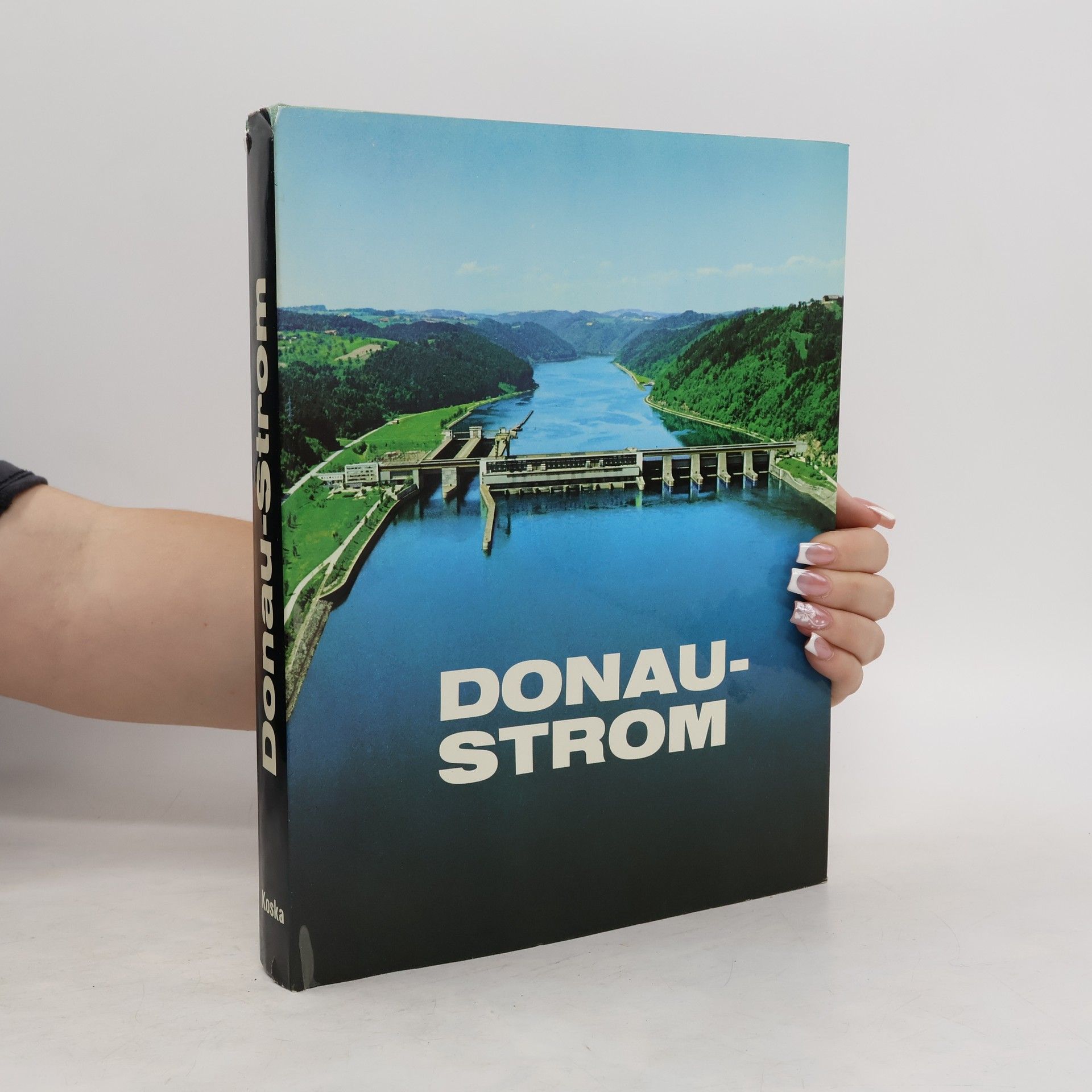 kolektiv Donau-Strom