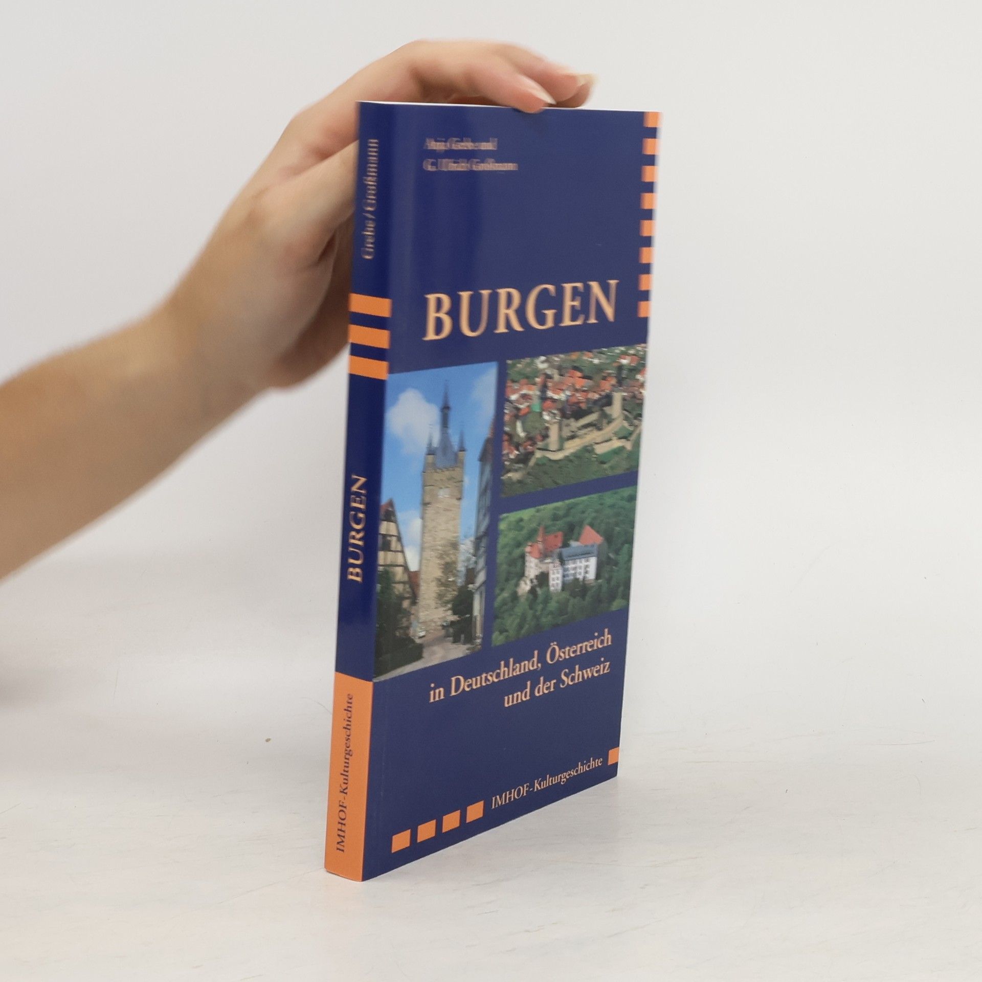 Anja Grebe Burgen in Deutschland, Österreich und der Schweiz. Architektur und Alltag