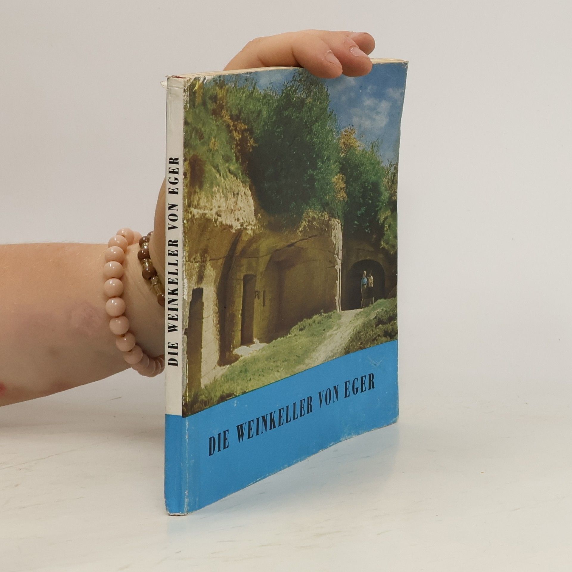 Collectif d'auteurs Die Weinkeller von Eger