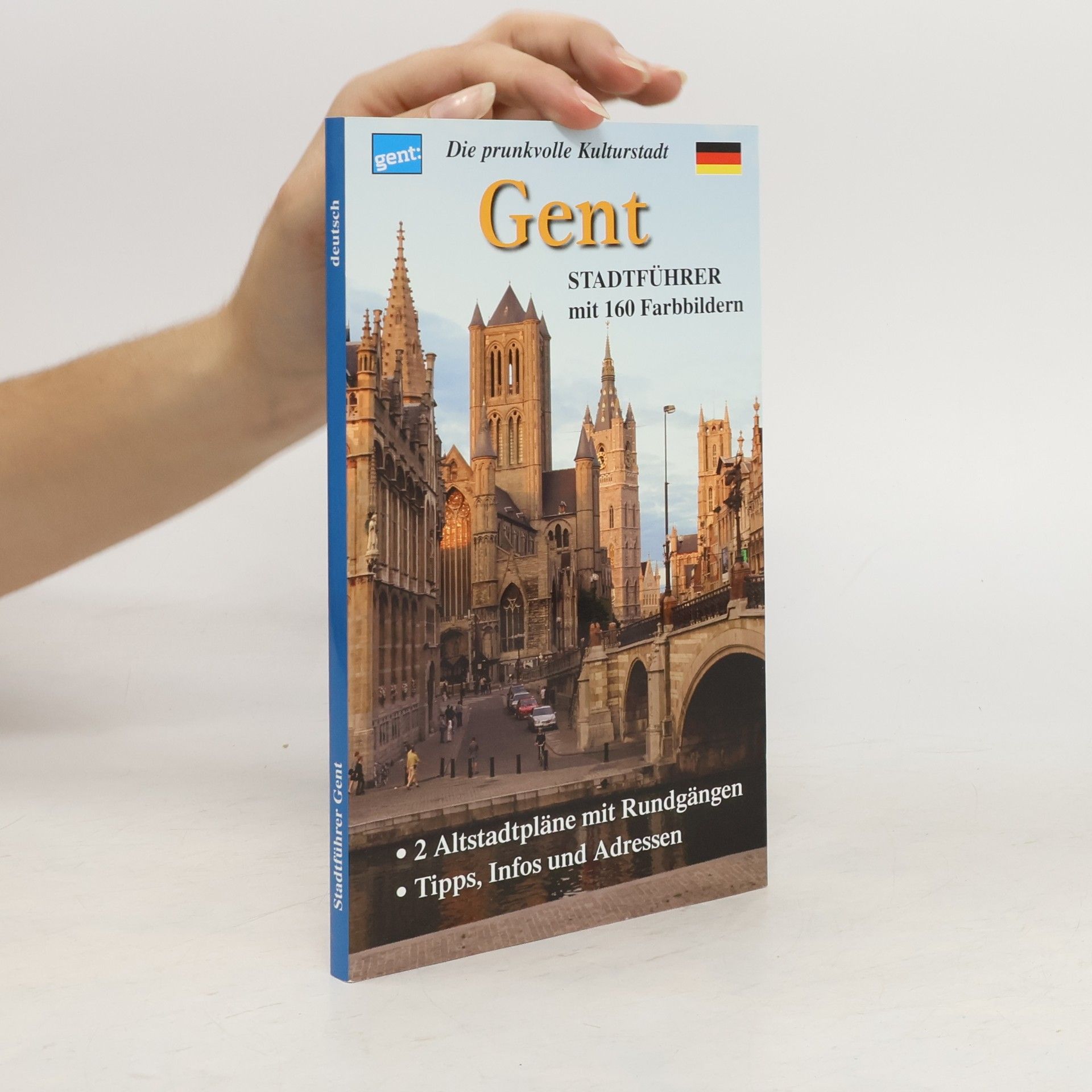 Joseph Hostens Die prunkvolle Kulturstadt Gent