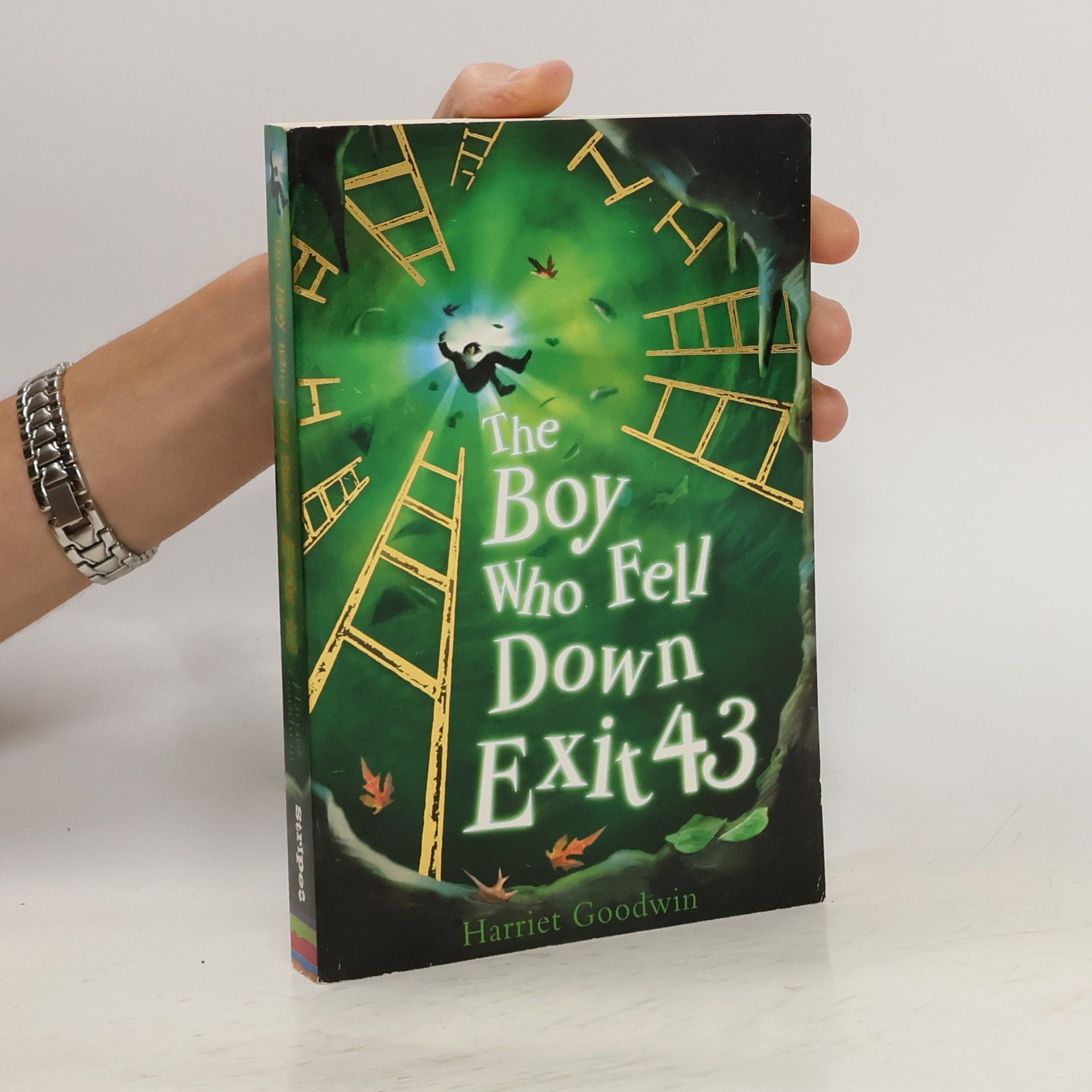 Harriet Goodwin The Boy Who Fell Down Exit 43