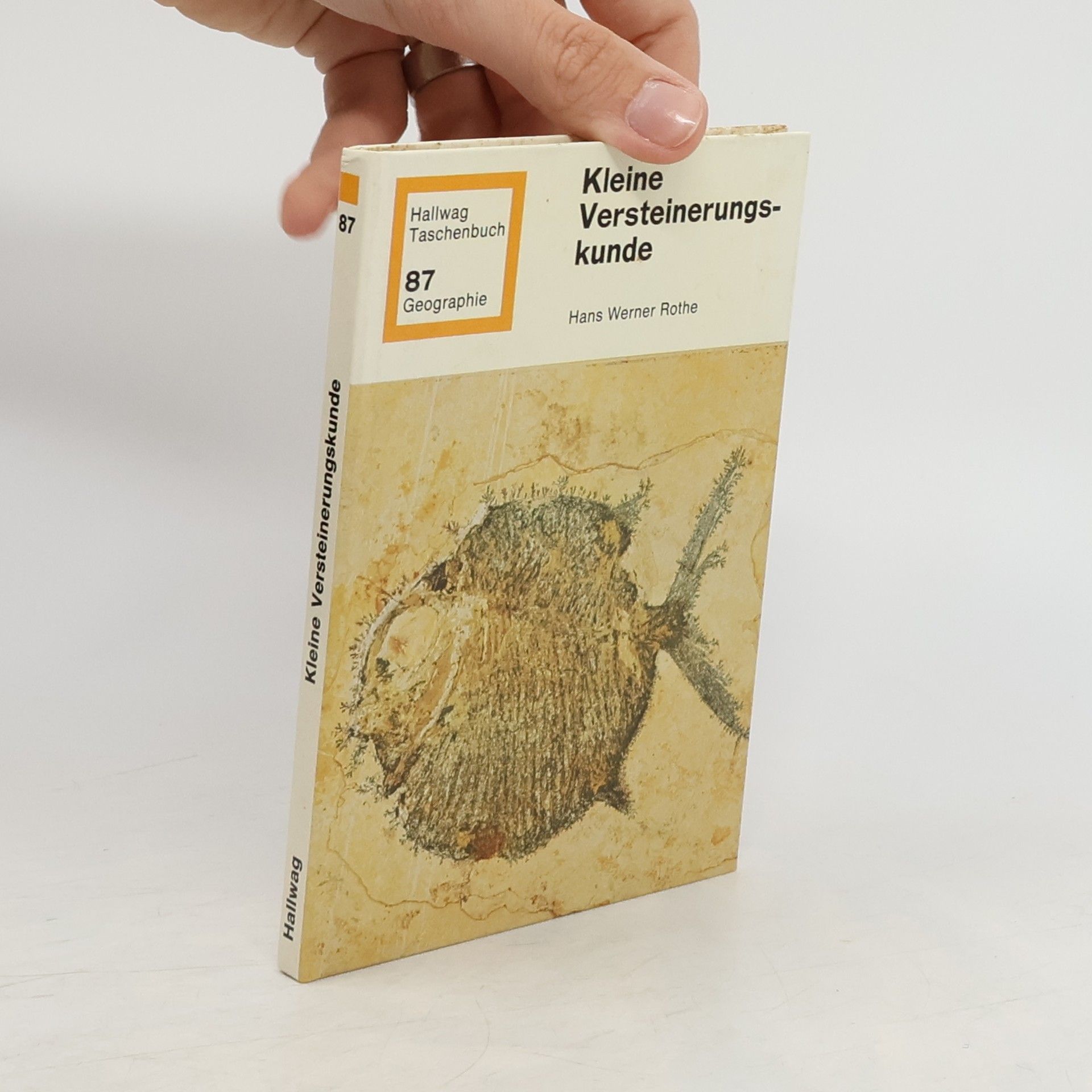Hans Werner Rothe Kleine Versteinerungskunde