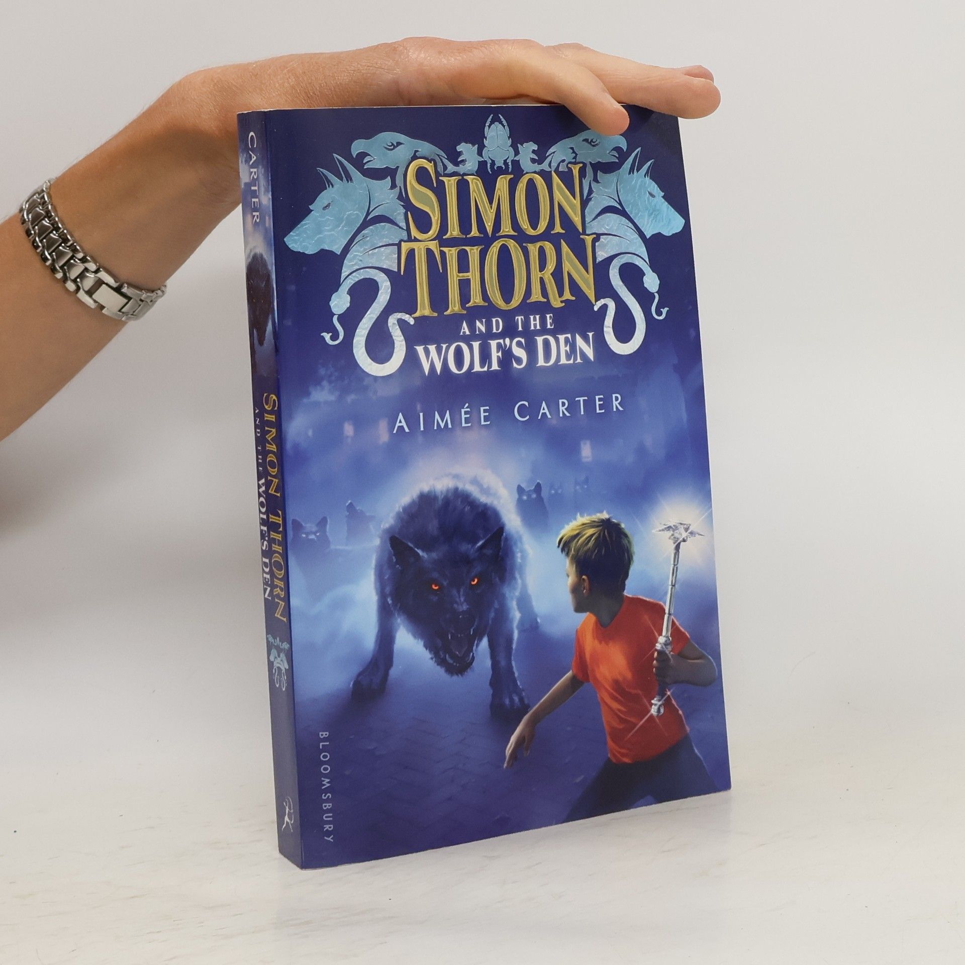 Aimée Carter Simon Thorn and the Wolf's Den