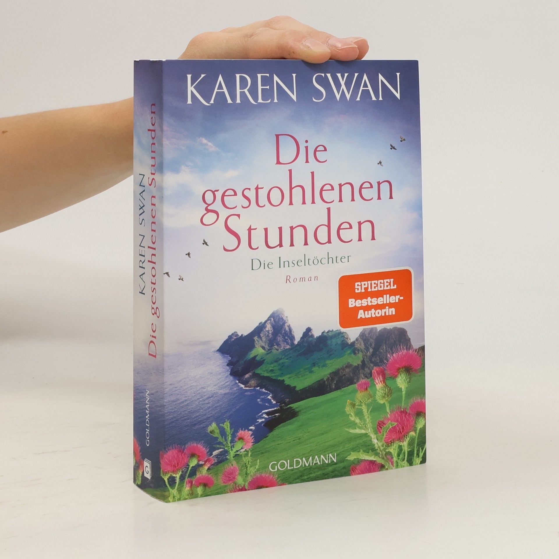 Karen Swan Die Inseltöchter - Die gestohlenen Stunden. Roman
