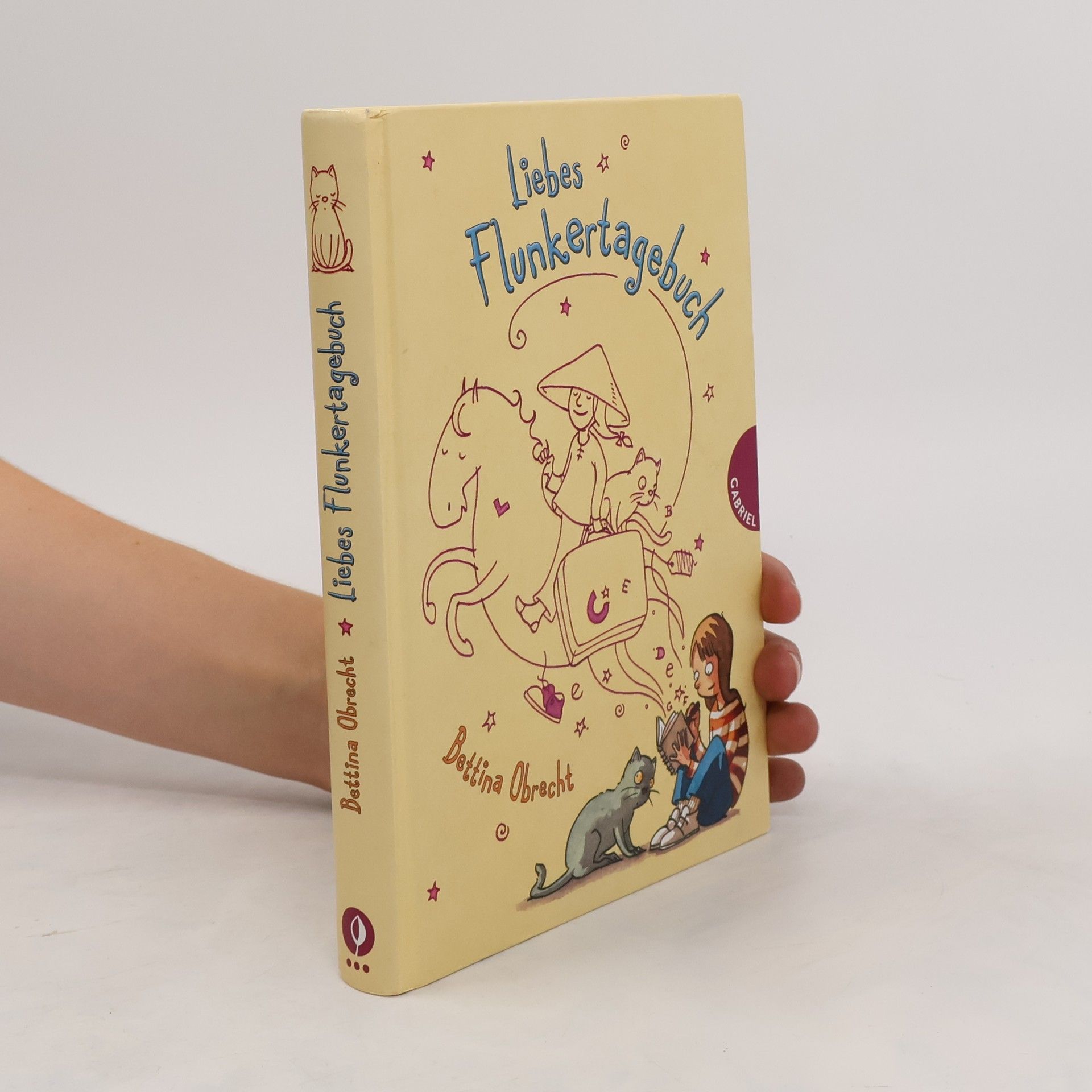 Bettina Obrecht Liebes Flunkertagebuch