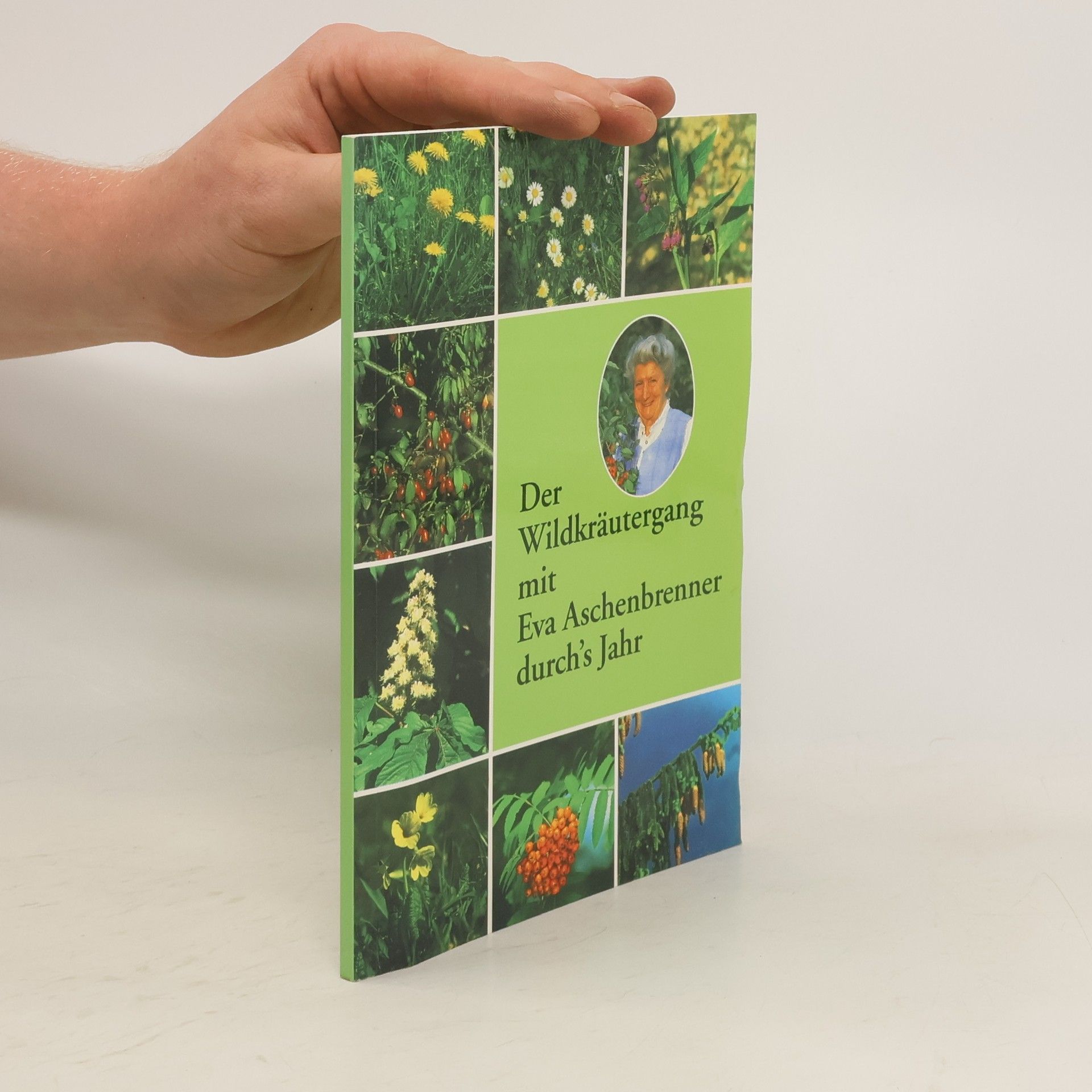 Eva Aschenbrenner Der Wildkräutergang mit Eva Aschenbrenner durch's Jahr