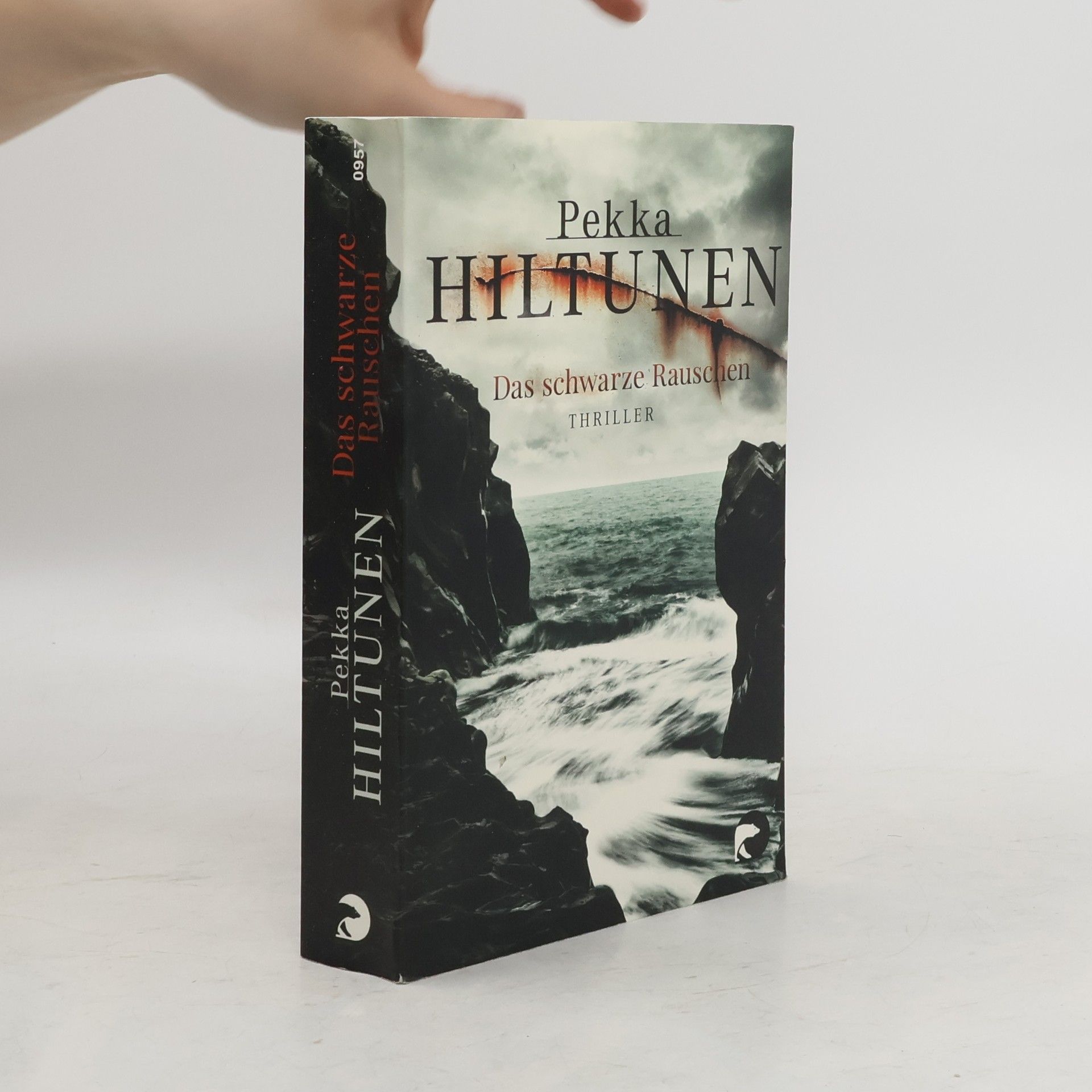 Pekka Hiltunen Das schwarze Rauschen