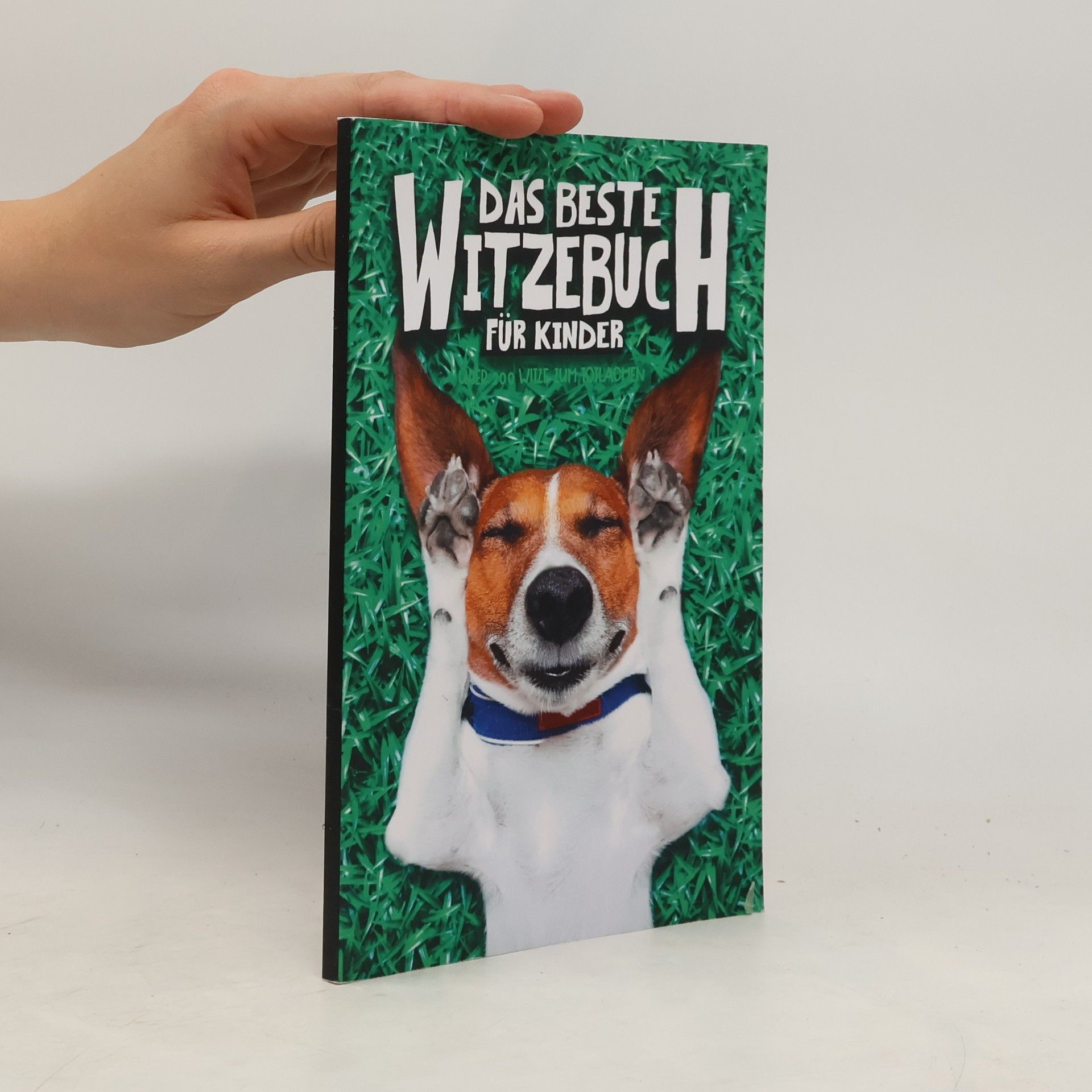 Kolektiv autorů Das Beste Witzebuch für Kinder