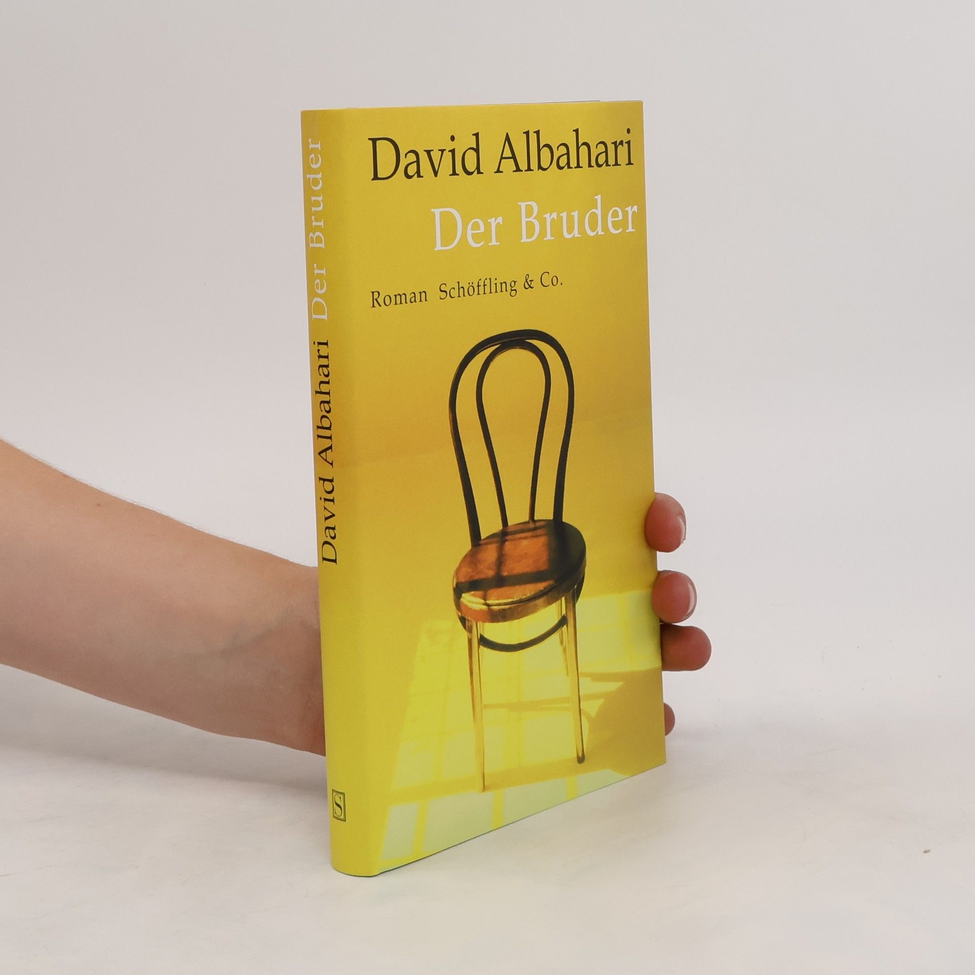 David Albahari Der Bruder