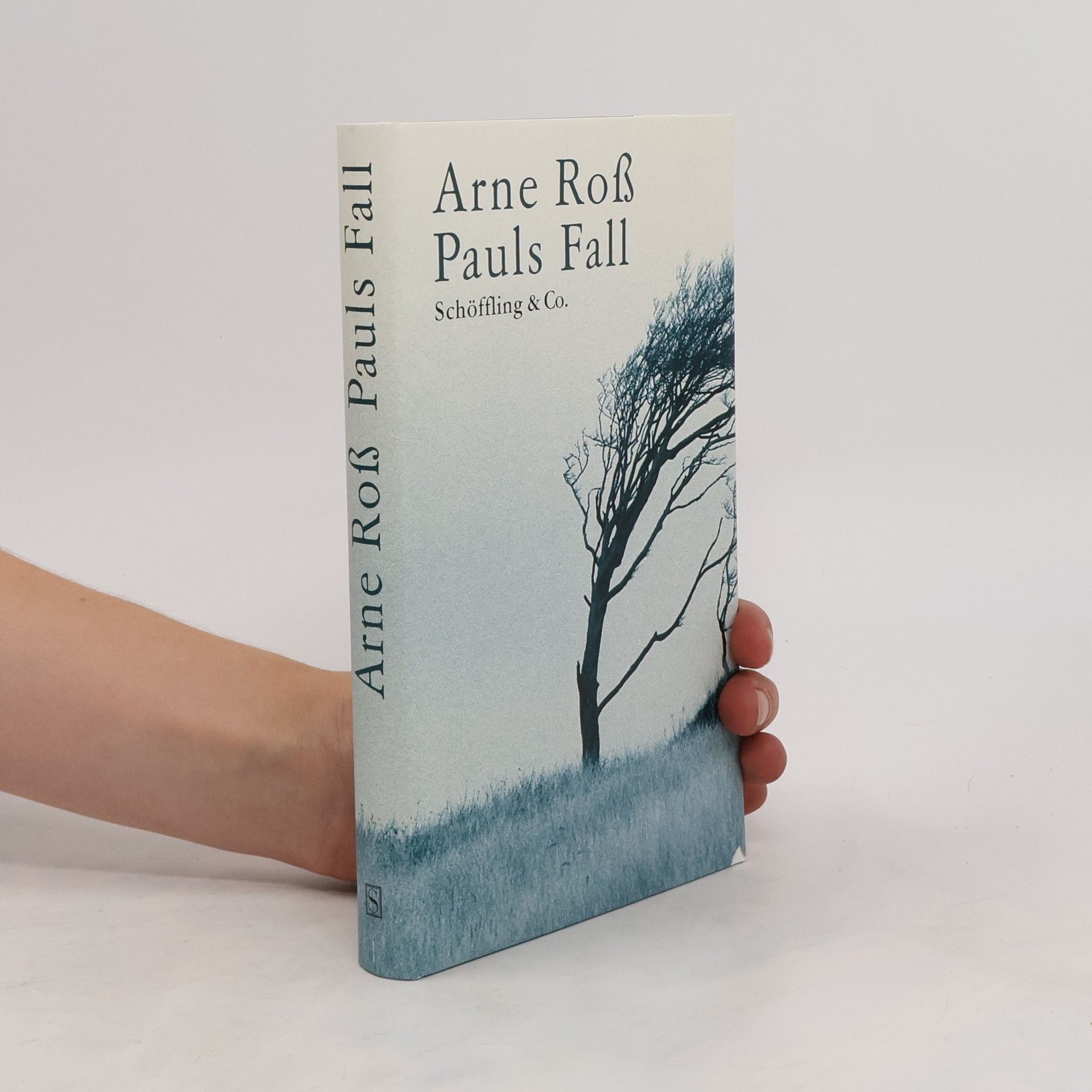 Arne Roß Pauls Fall