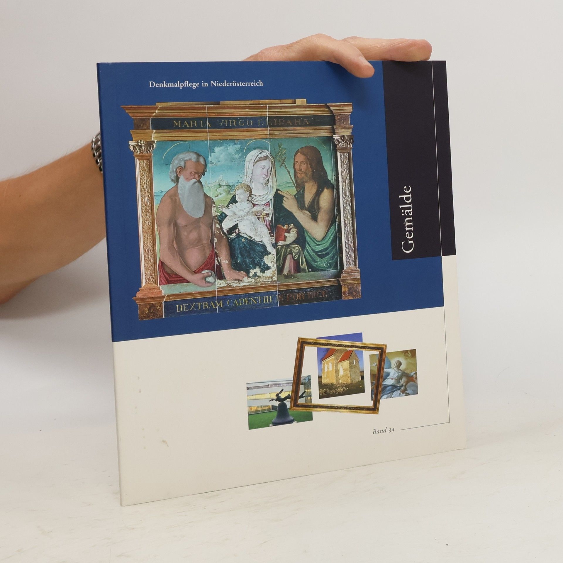 Collectif d'auteurs Denkmalpflege in Niederösterreich. Band 34