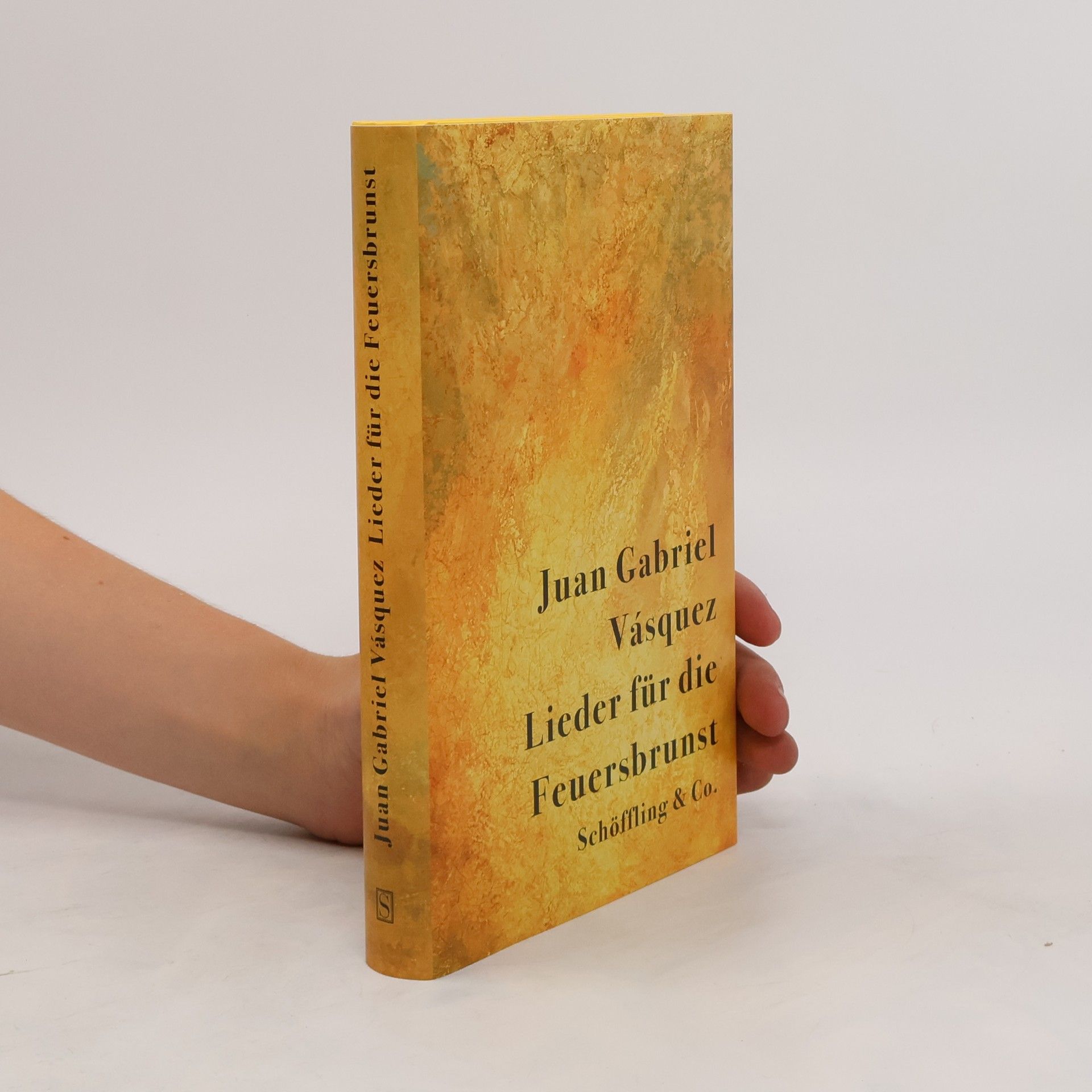 Juan Gabriel Vásquez Lieder für die Feuersbrunst