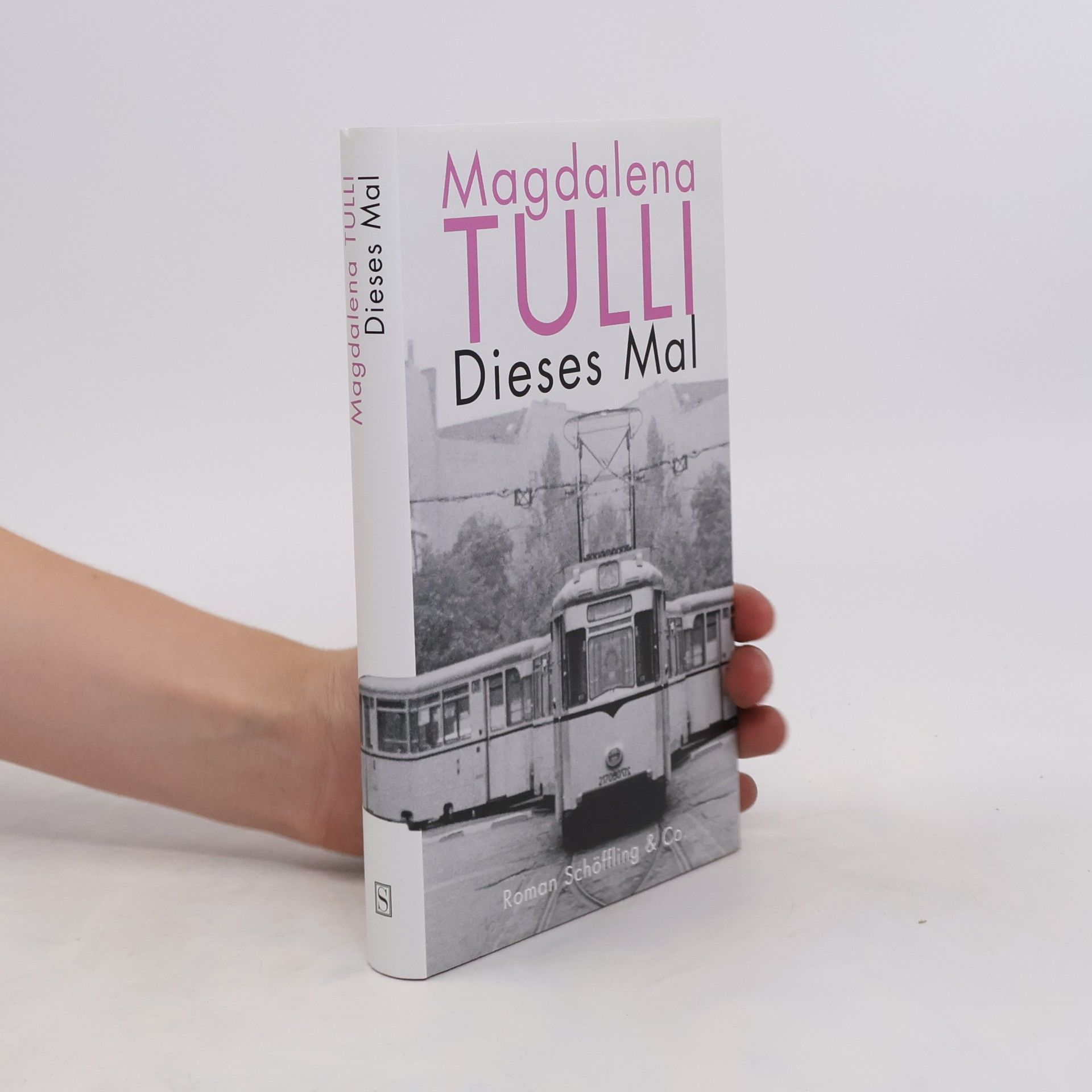 Magdalena Tulli Dieses Mal