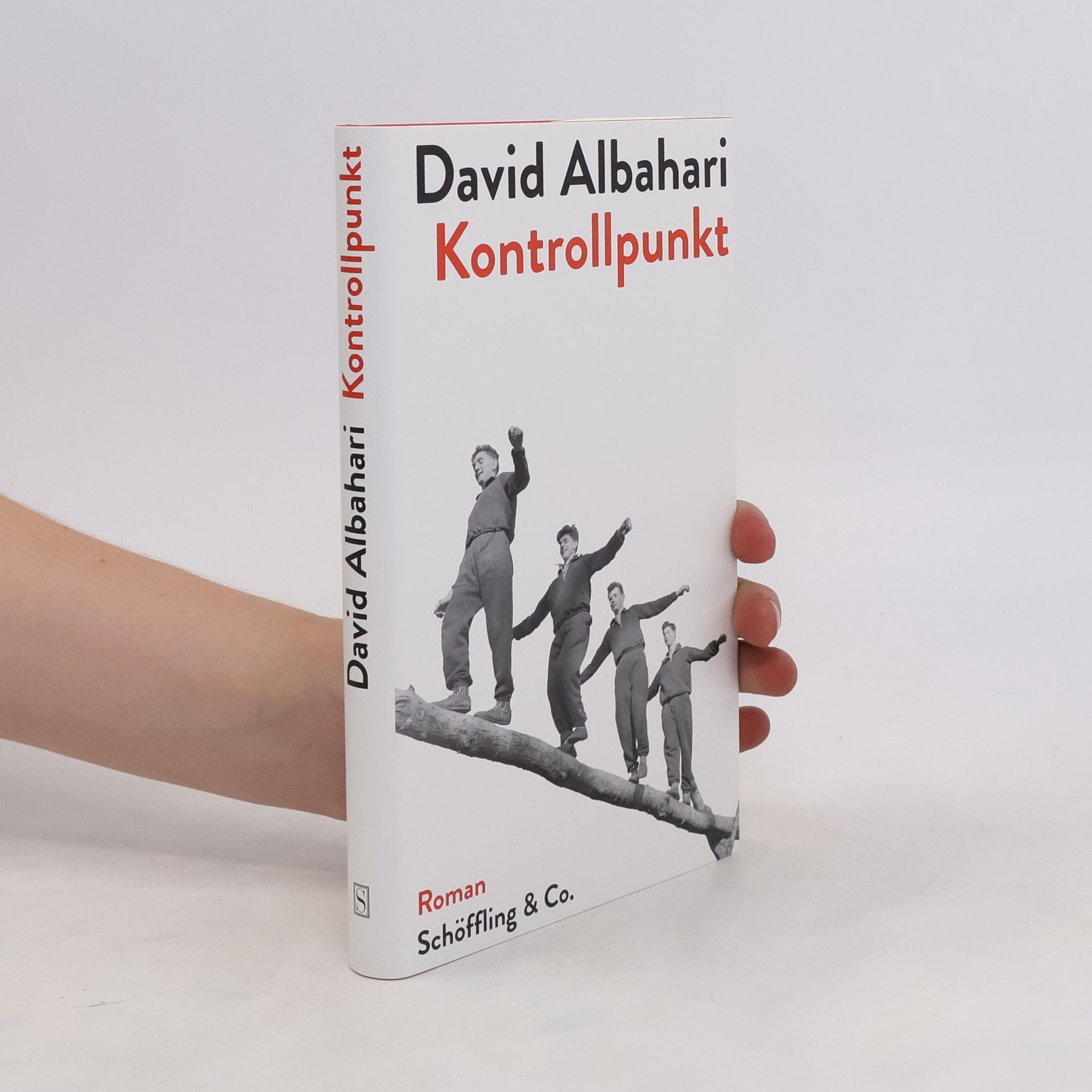 David Albahari Kontrollpunkt